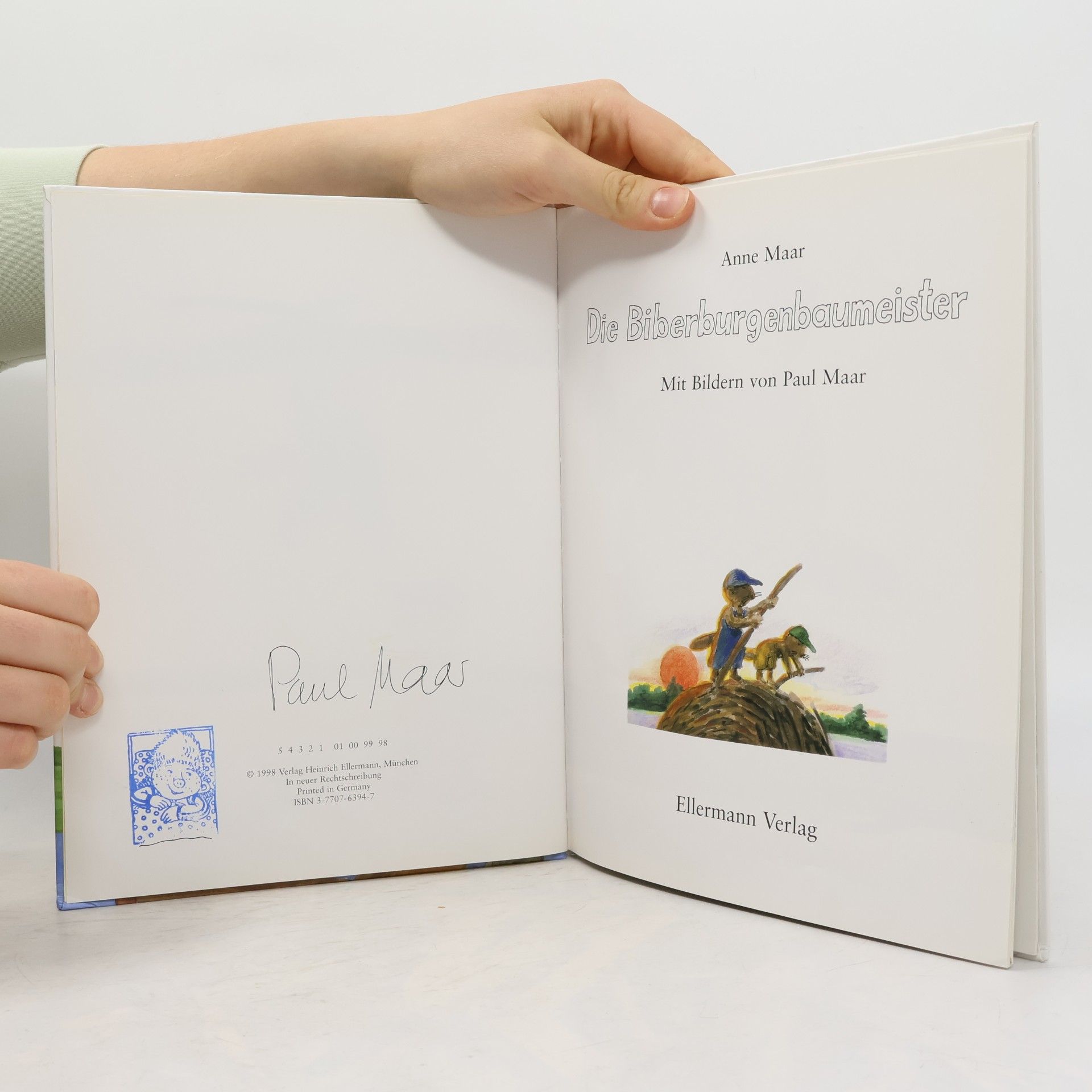 Anne Maar Die Biberburgenbaumeister