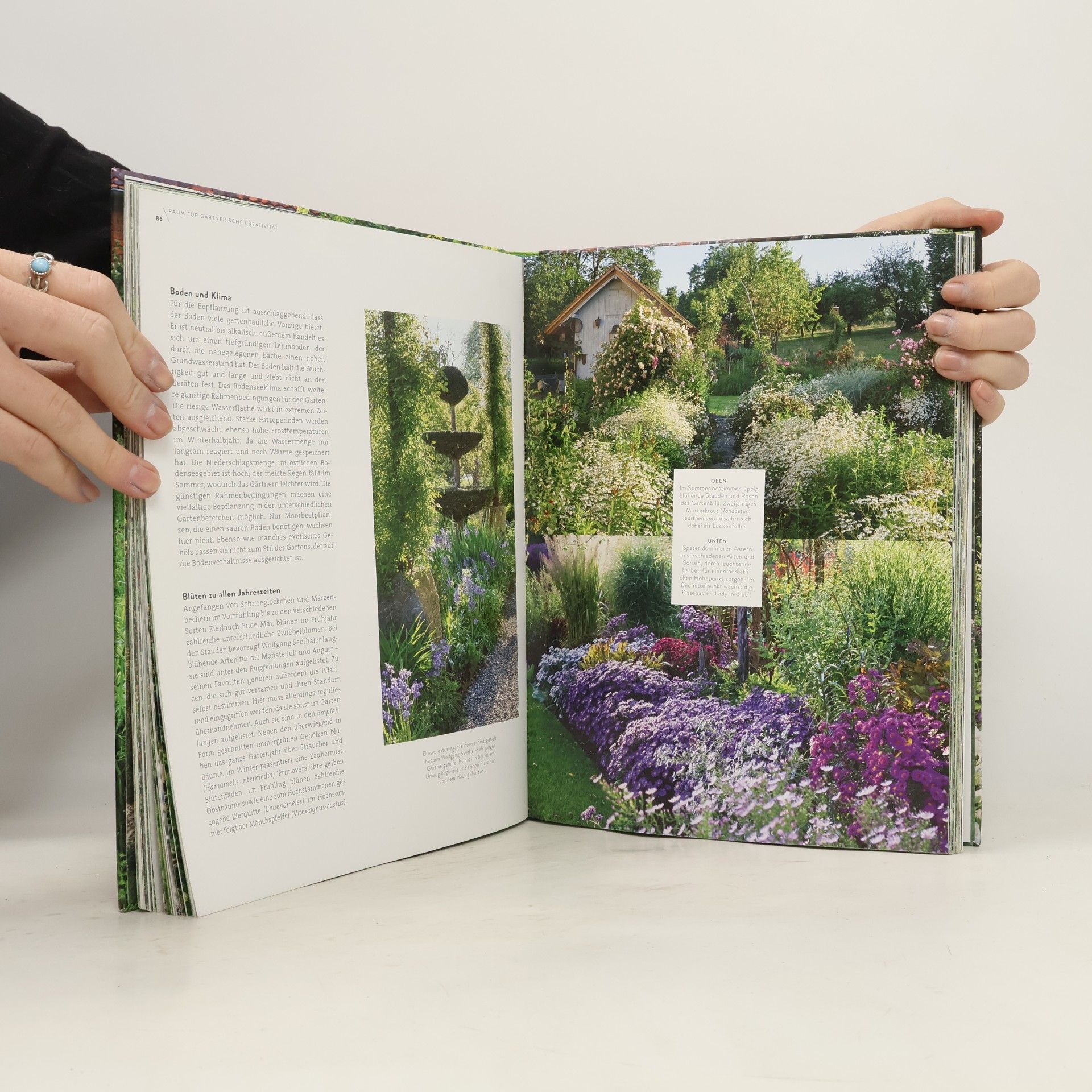Manfred Lucenz Verrückt nach Garten. Ideen und Erfahrungen kreativer Gärtner