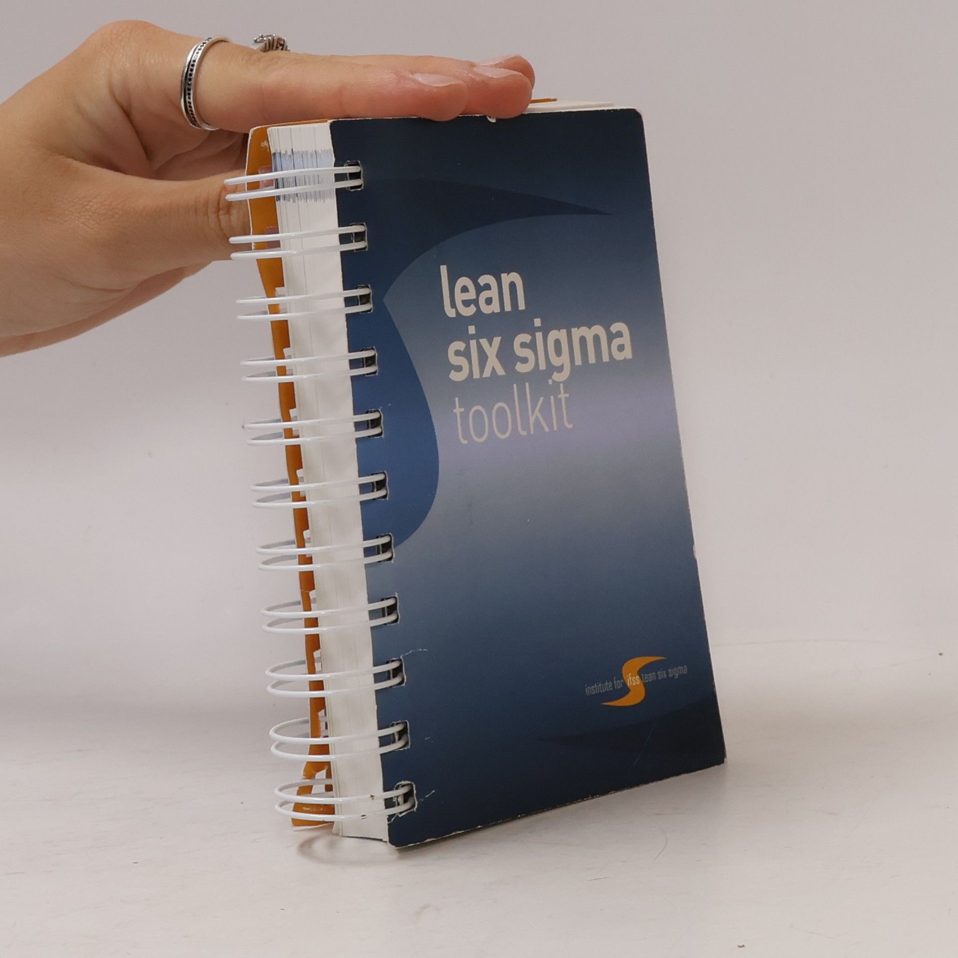 Suzanne Birkmayer lean six sigma toolkit