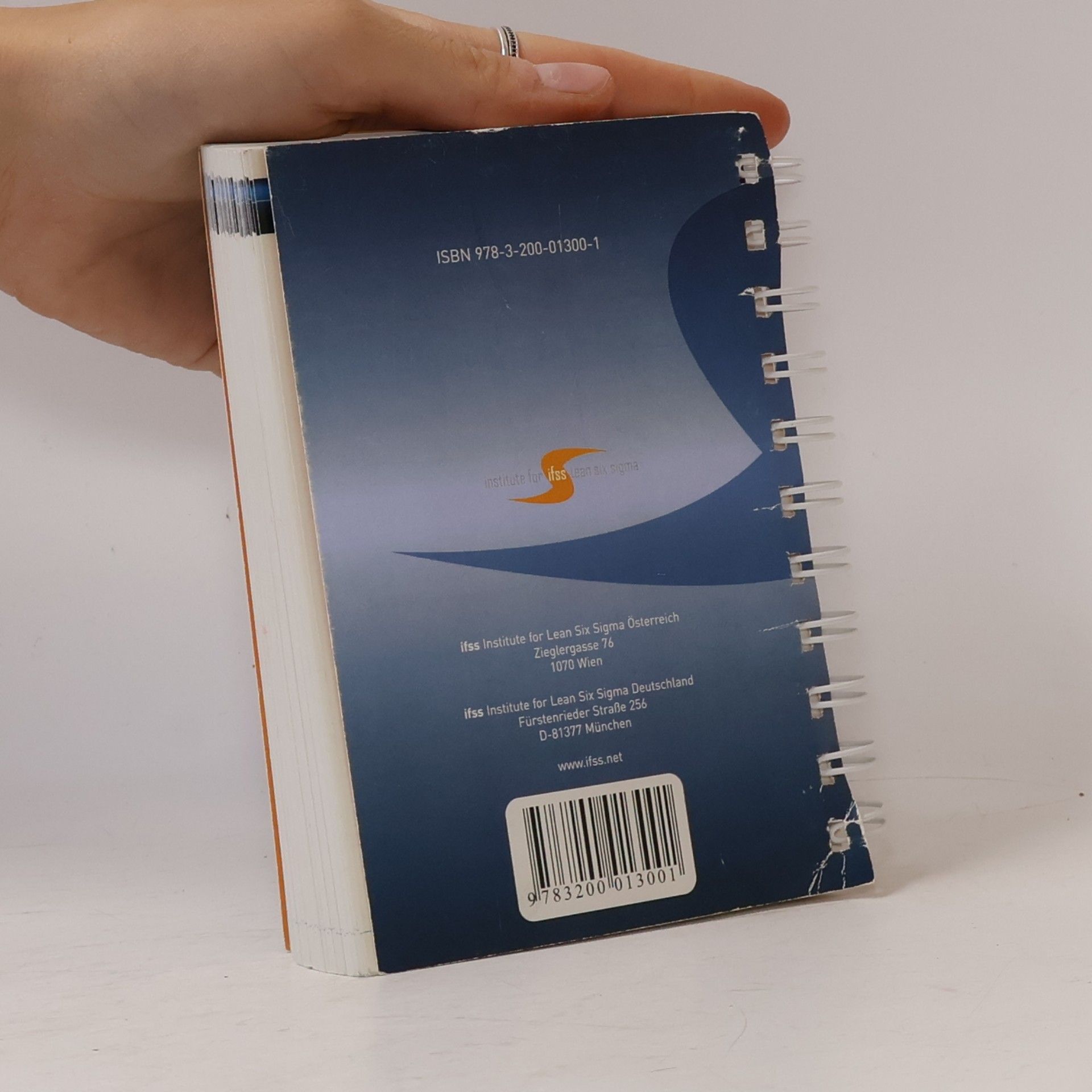 Suzanne Birkmayer lean six sigma toolkit