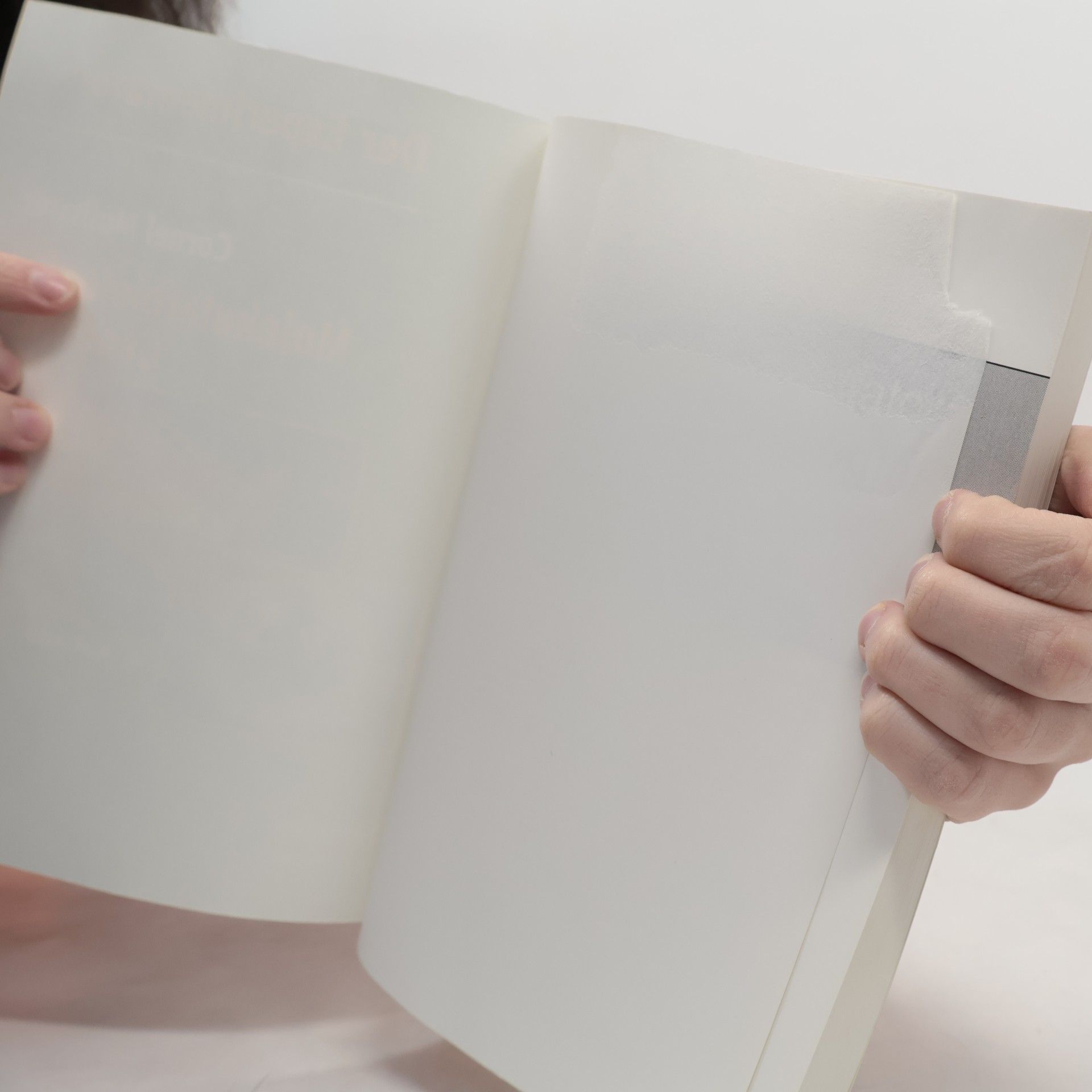 Cornel Mülhardt Der Experimentator: Molekularbiologie, Genomics - 4. Auflage