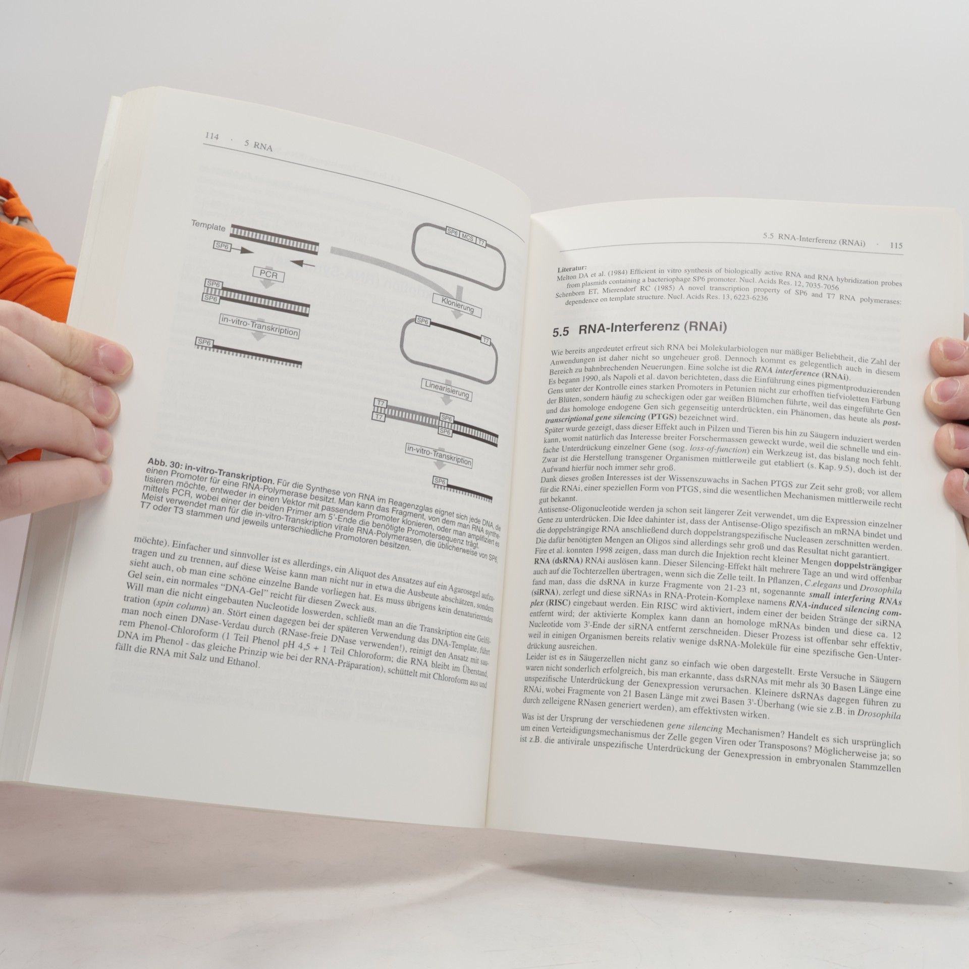 Cornel Mülhardt Der Experimentator: Molekularbiologie, Genomics - 4. Auflage