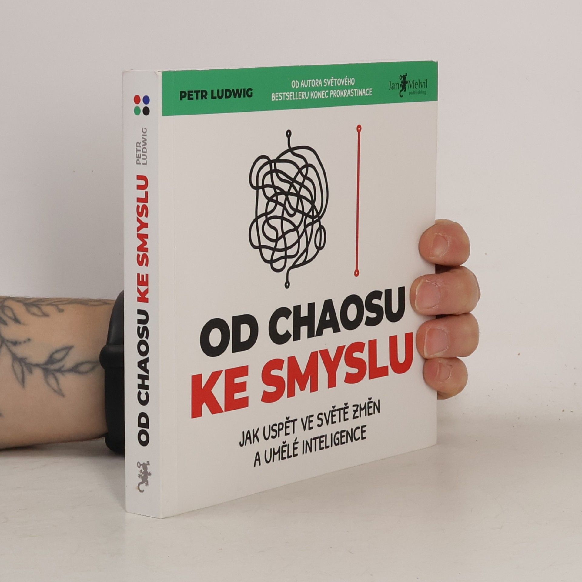 Petr Ludwig Od chaosu ke smyslu