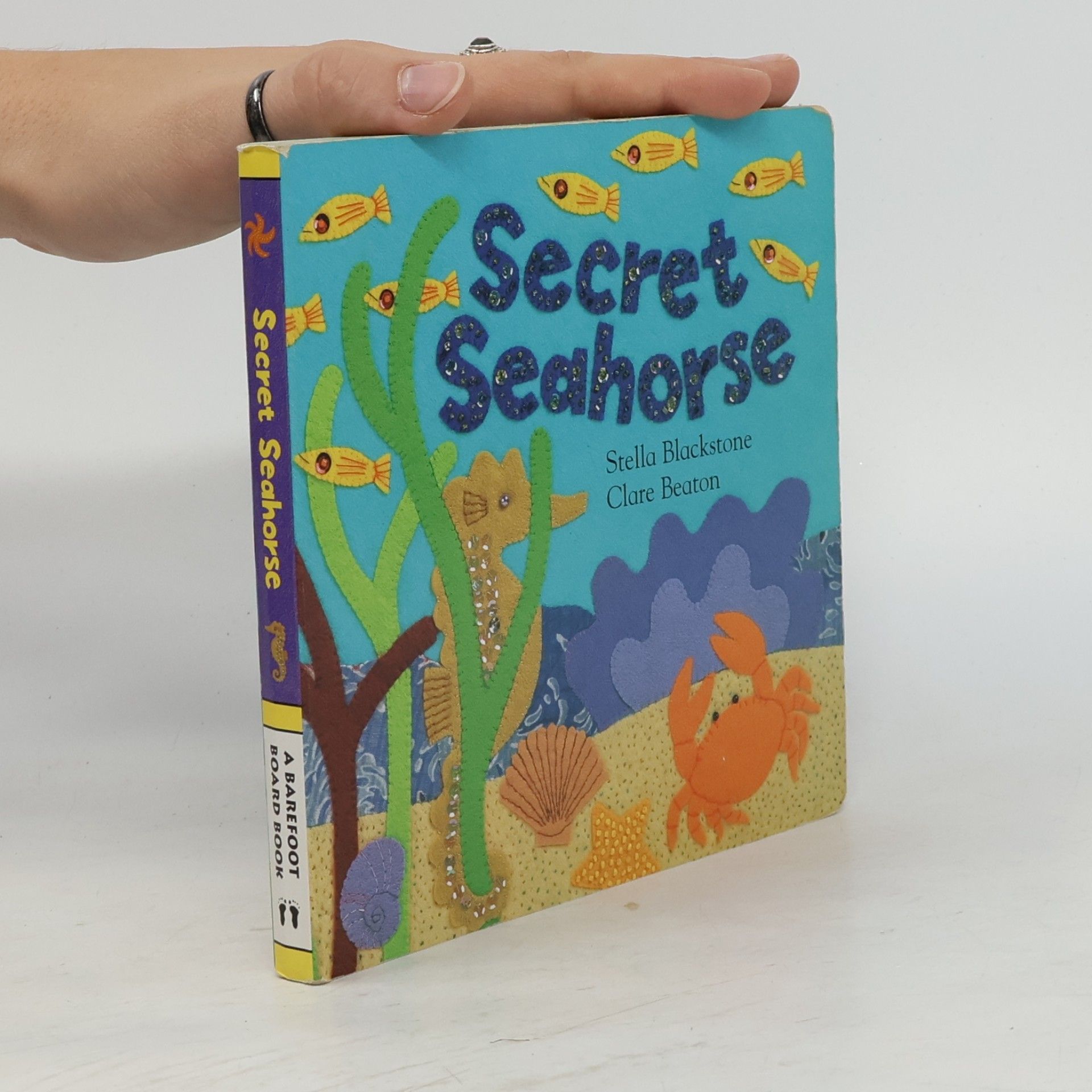 Barefoot Board Book: Secret Seahorse