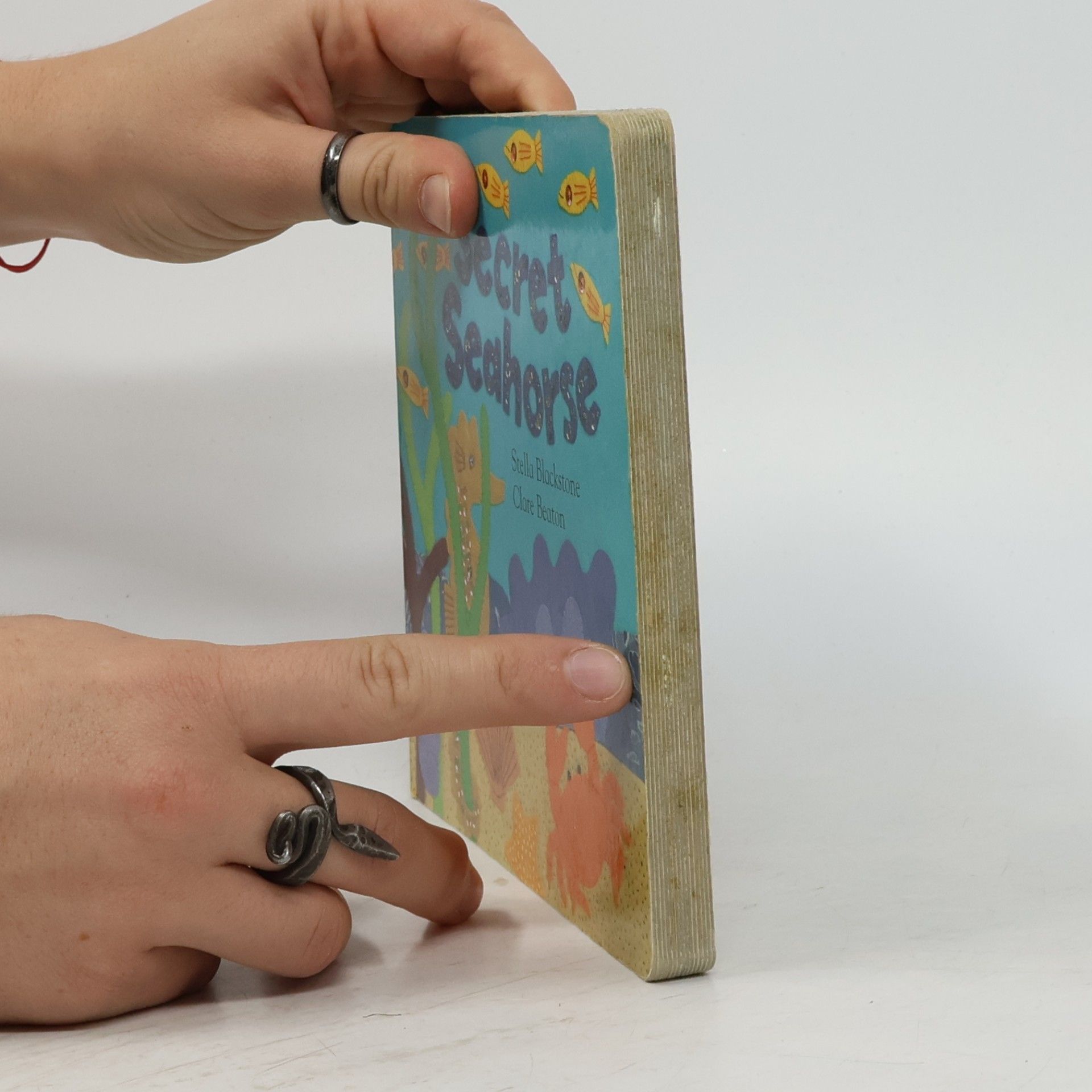 Stella Blackstone Barefoot Board Book: Secret Seahorse