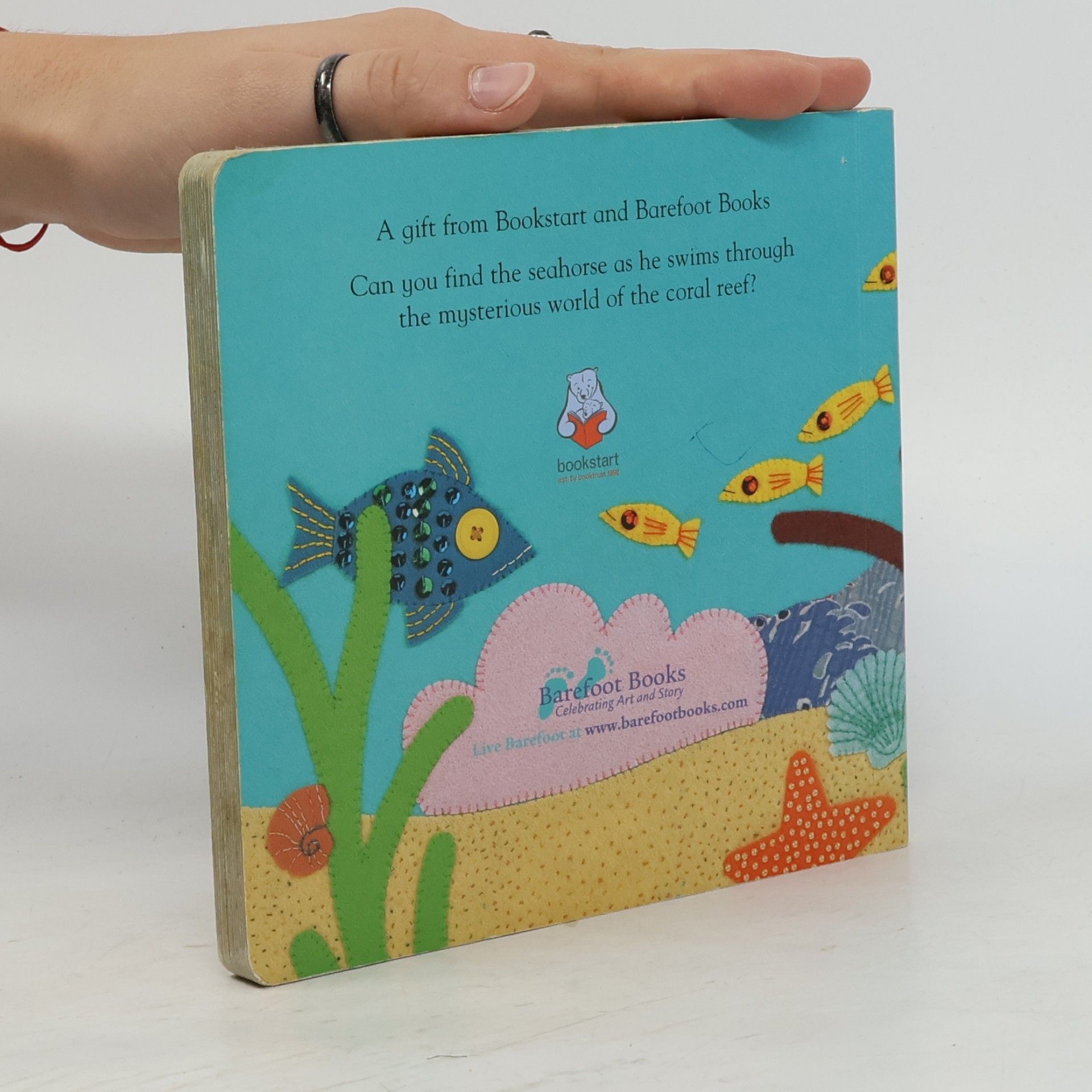 Stella Blackstone Barefoot Board Book: Secret Seahorse