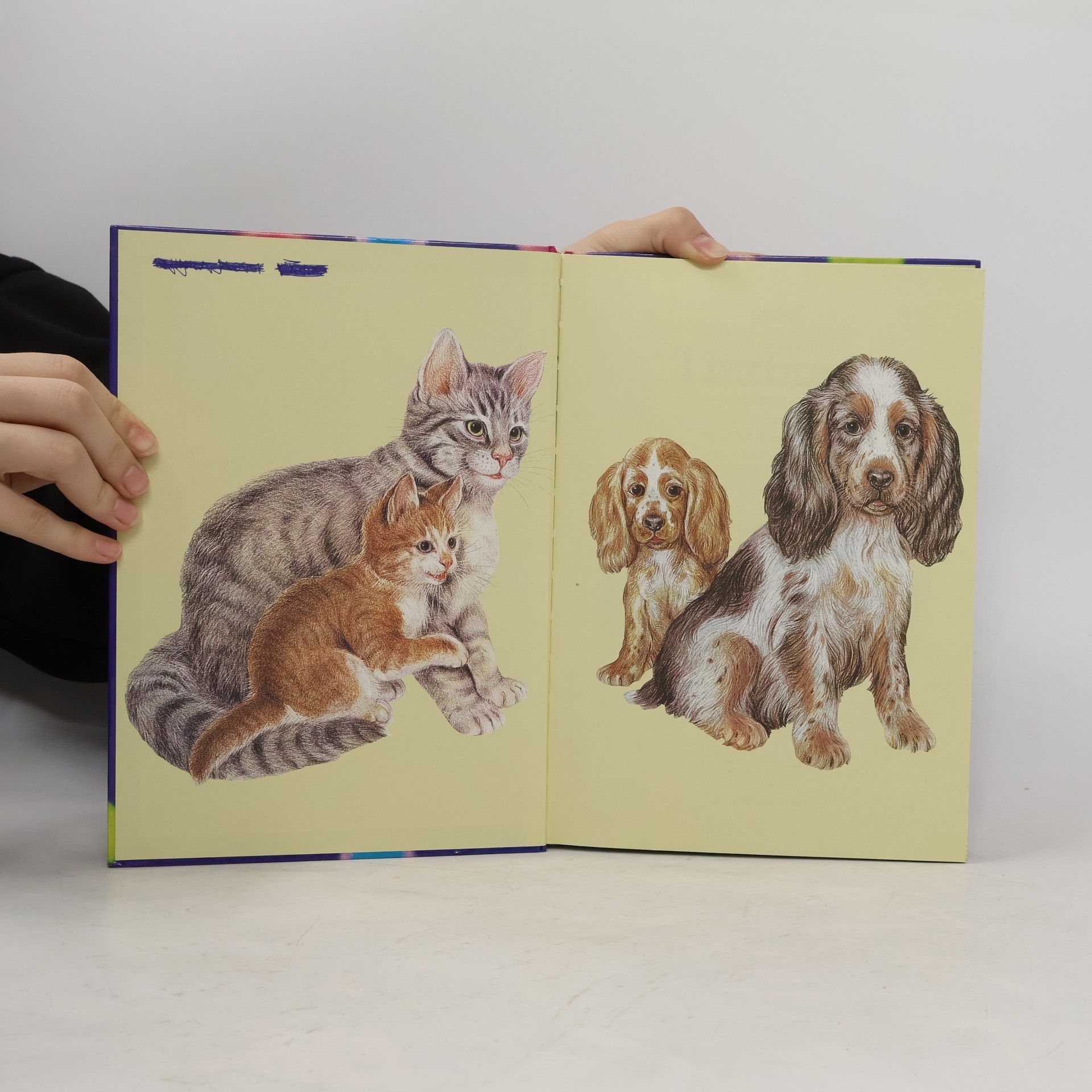 Marc-Heinrich Busse Mein lustiges Tierbuch
