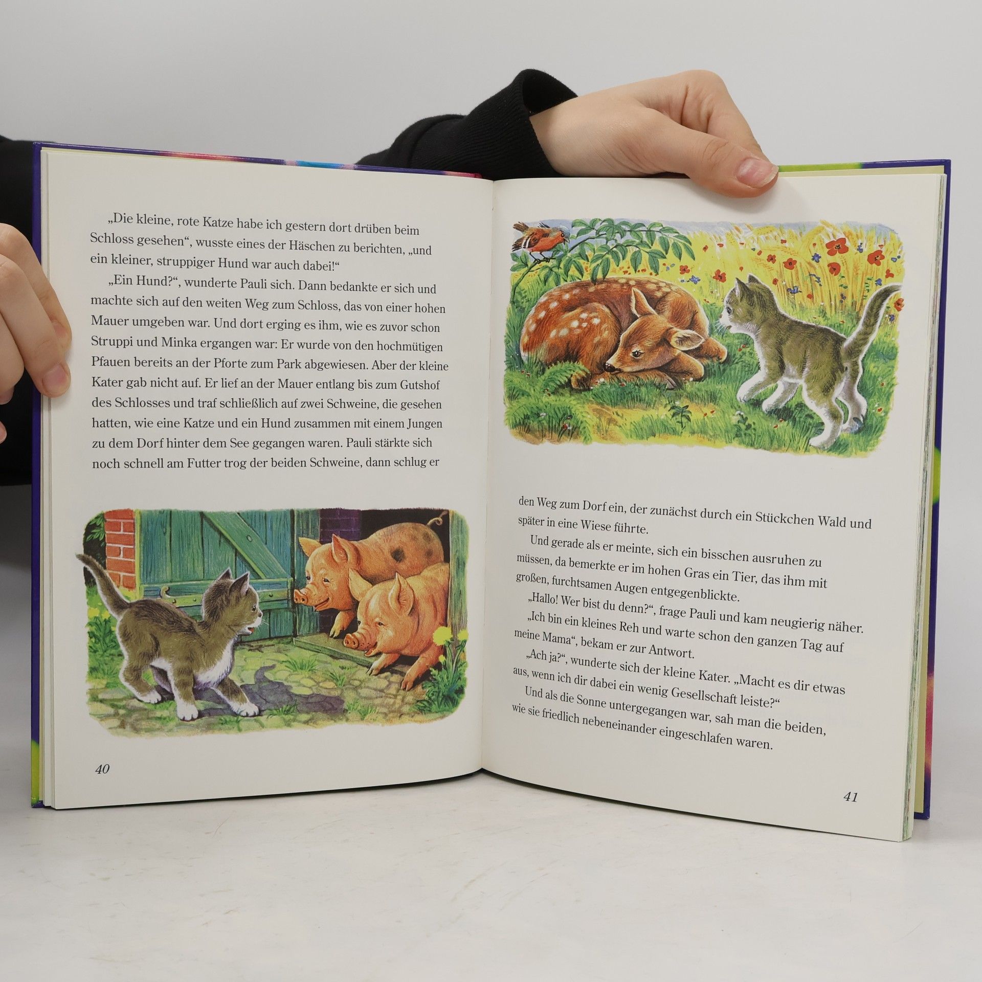 Marc-Heinrich Busse Mein lustiges Tierbuch
