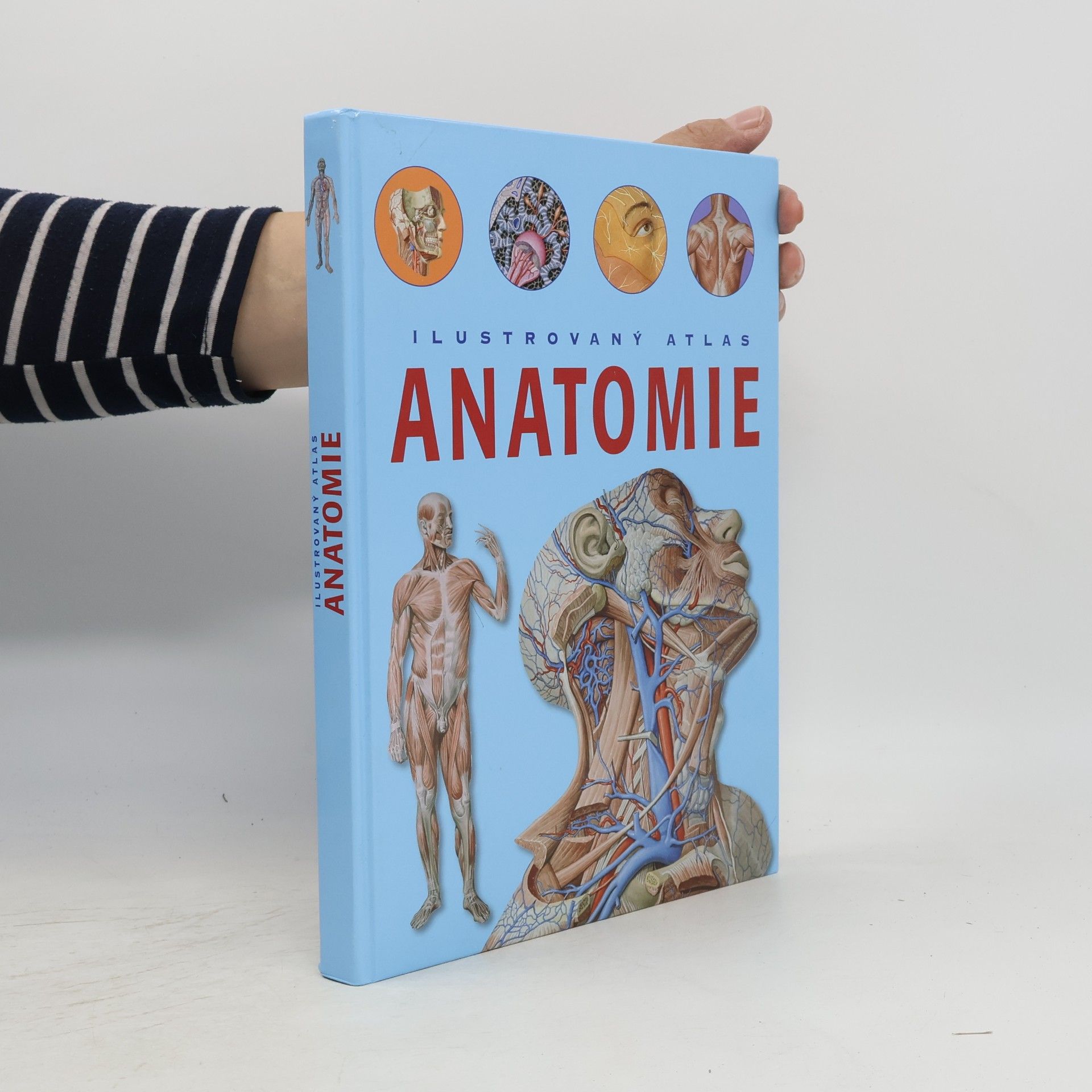 Adriana Rigutti Ilustrovaný atlas anatomie