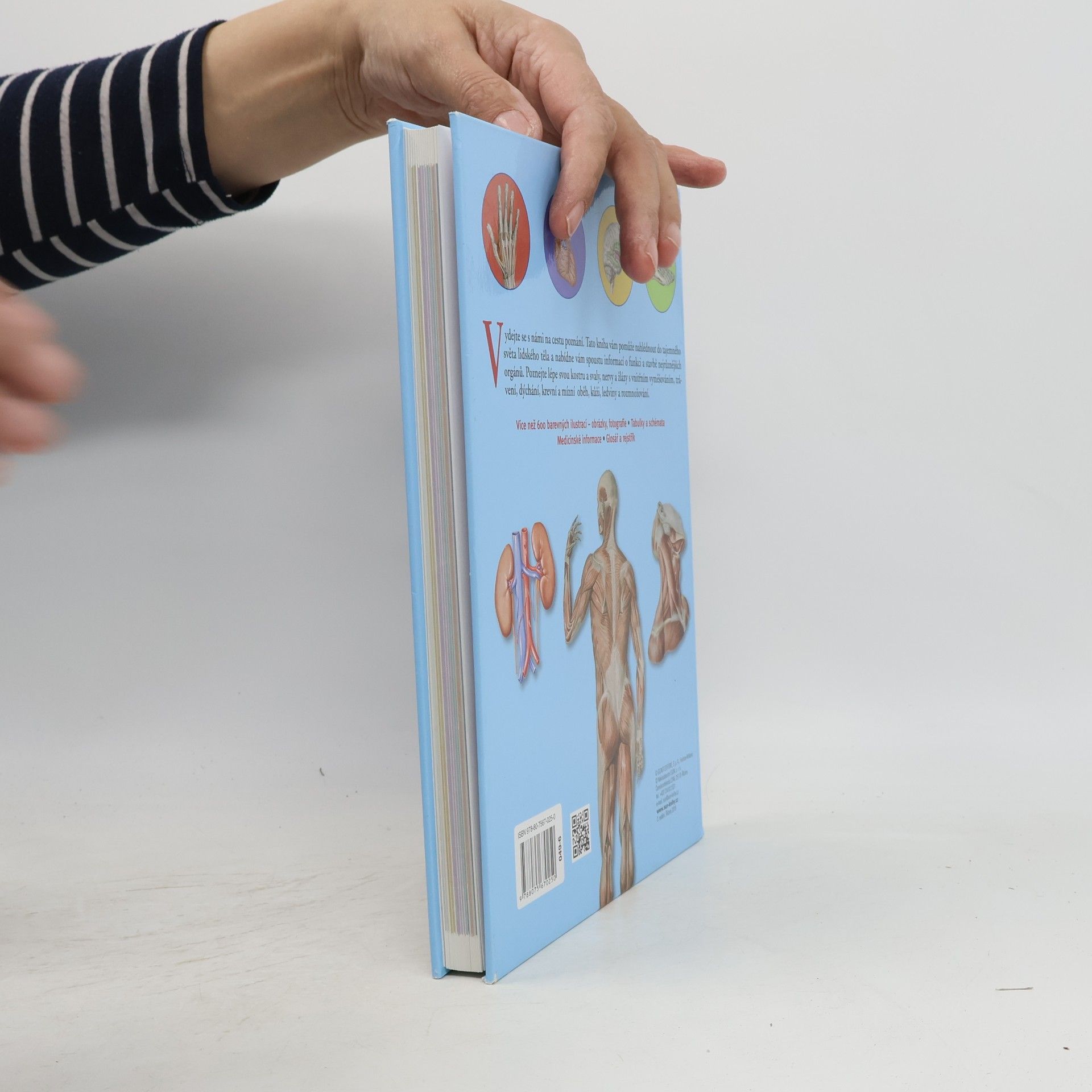 Adriana Rigutti Ilustrovaný atlas anatomie