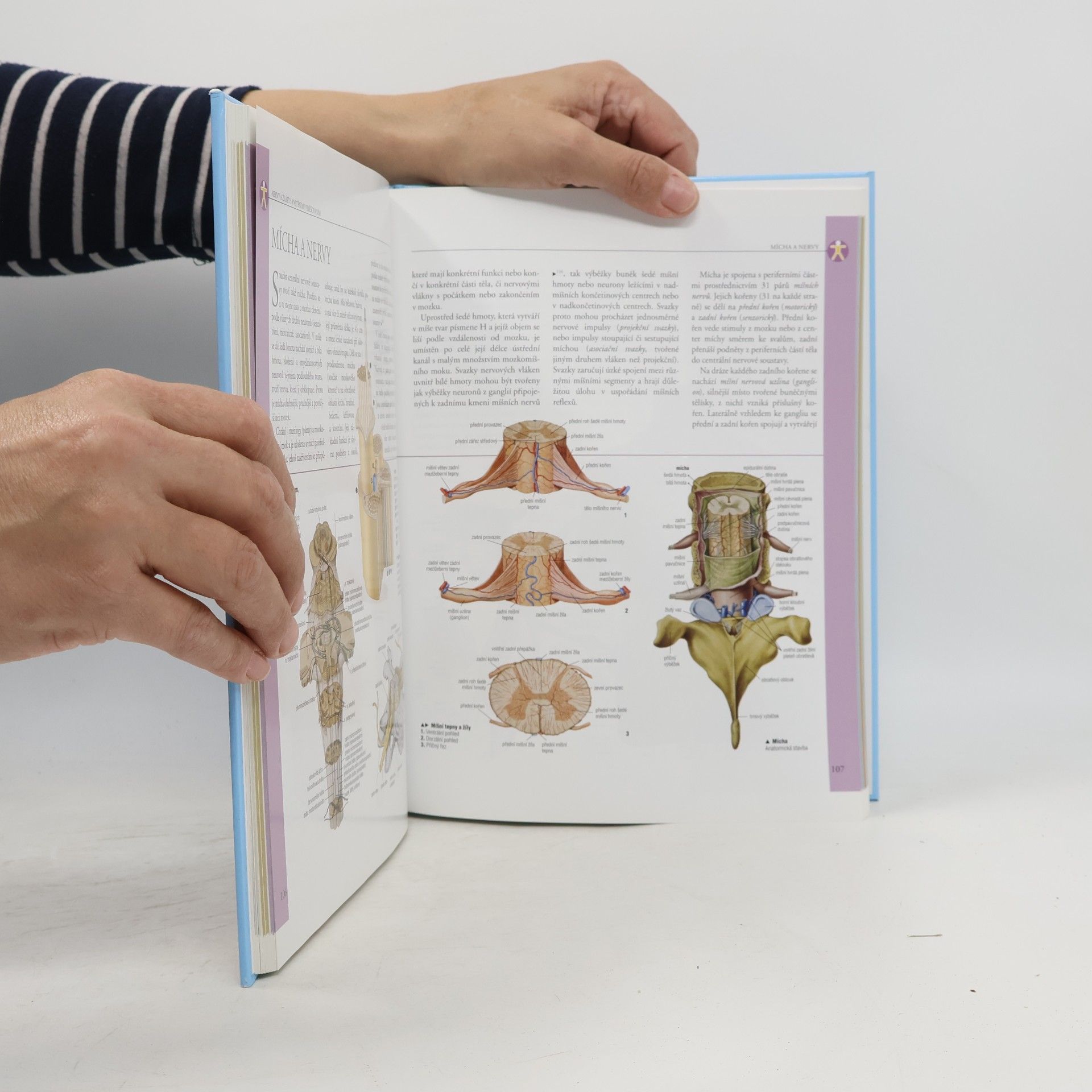 Adriana Rigutti Ilustrovaný atlas anatomie