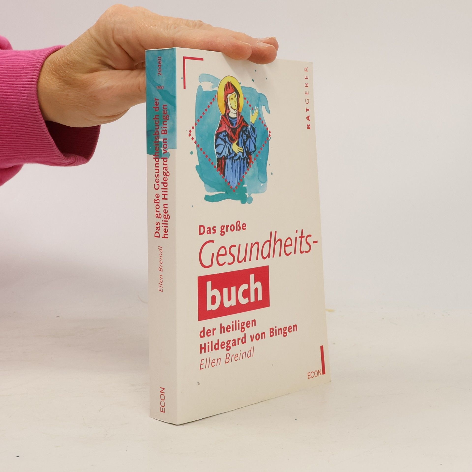 Hildegarde von Bingen Das grosse Gesundheitsbuch der heiligen Hildegard von Bingen