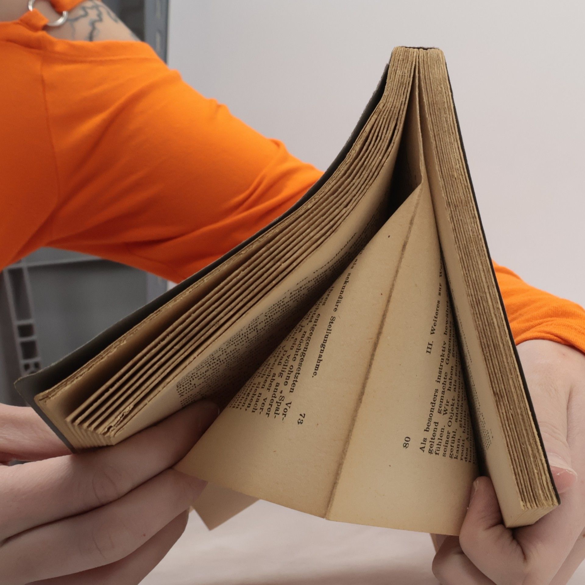 Alexius Meinong Zur Grundlegung der allgemeinen Werttheorie