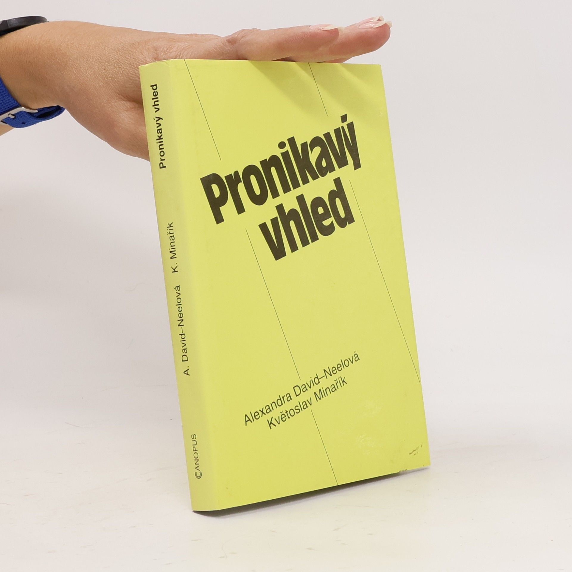 Pronikavý vhled