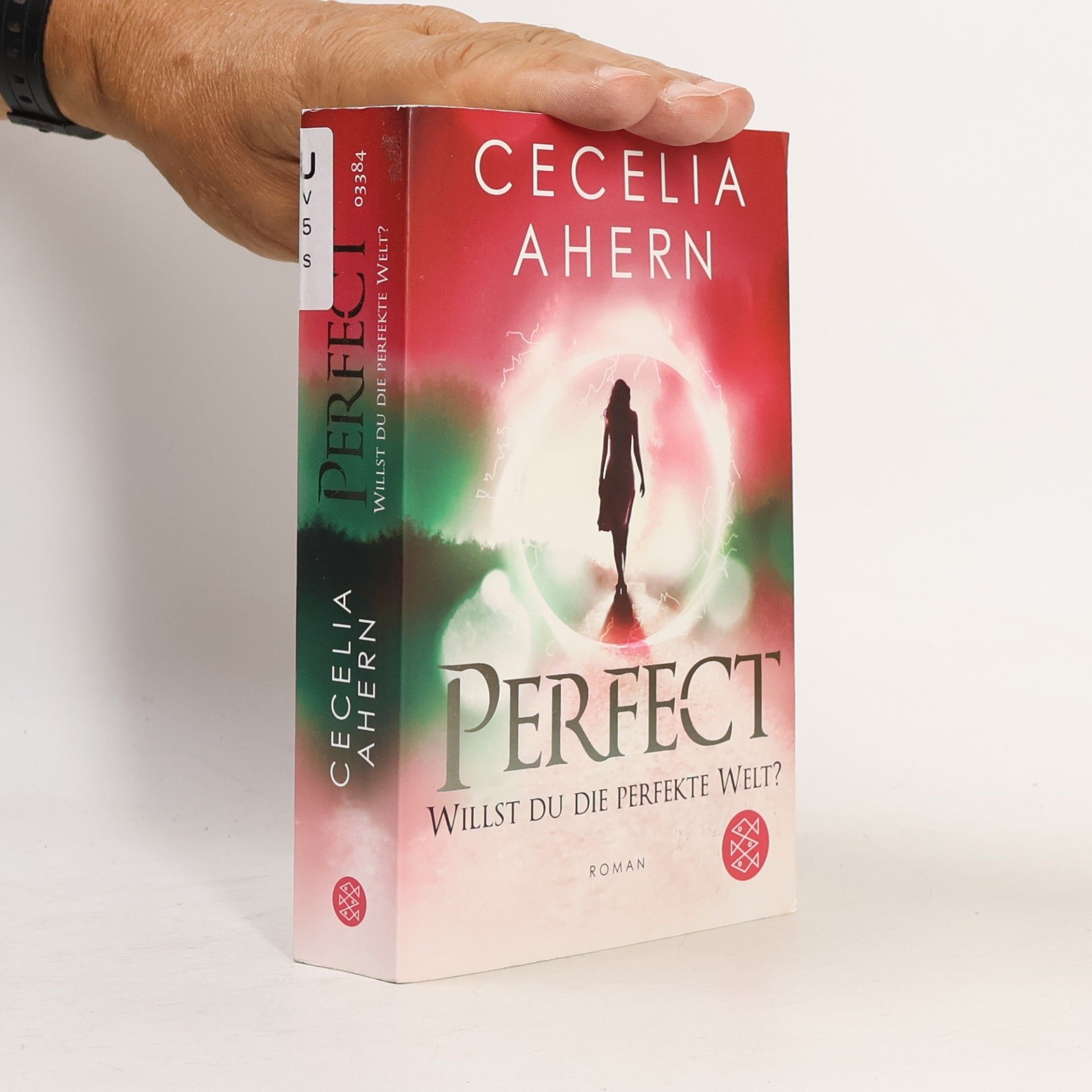 Cecelia Ahern Perfect – willst du die perfekte Welt?
