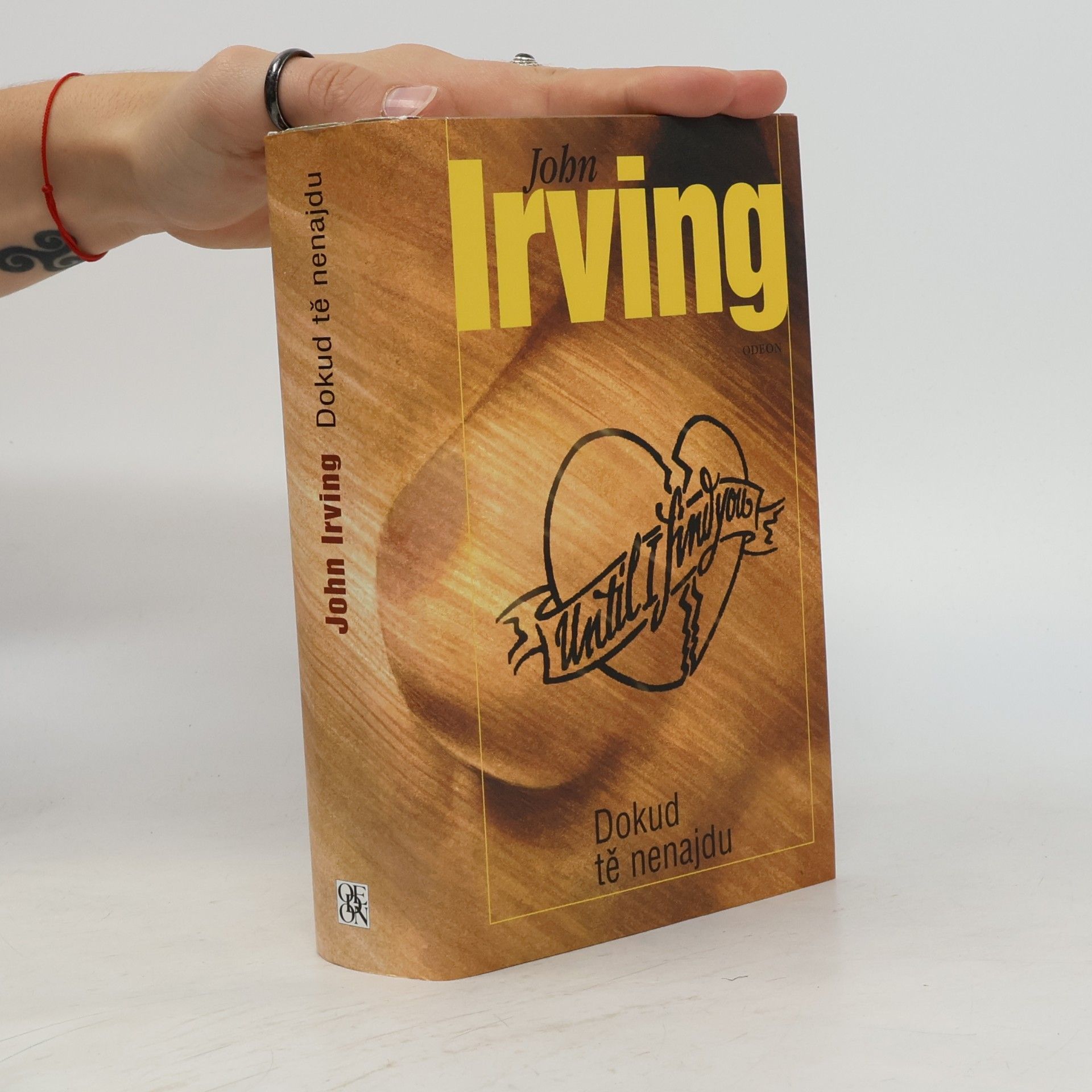 John Irving Dokud tě nenajdu