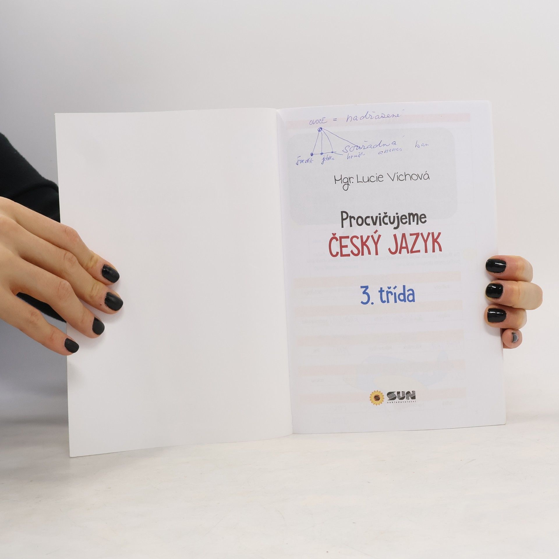 Lucie Víchová Procvičujeme český jazyk: 3. třída