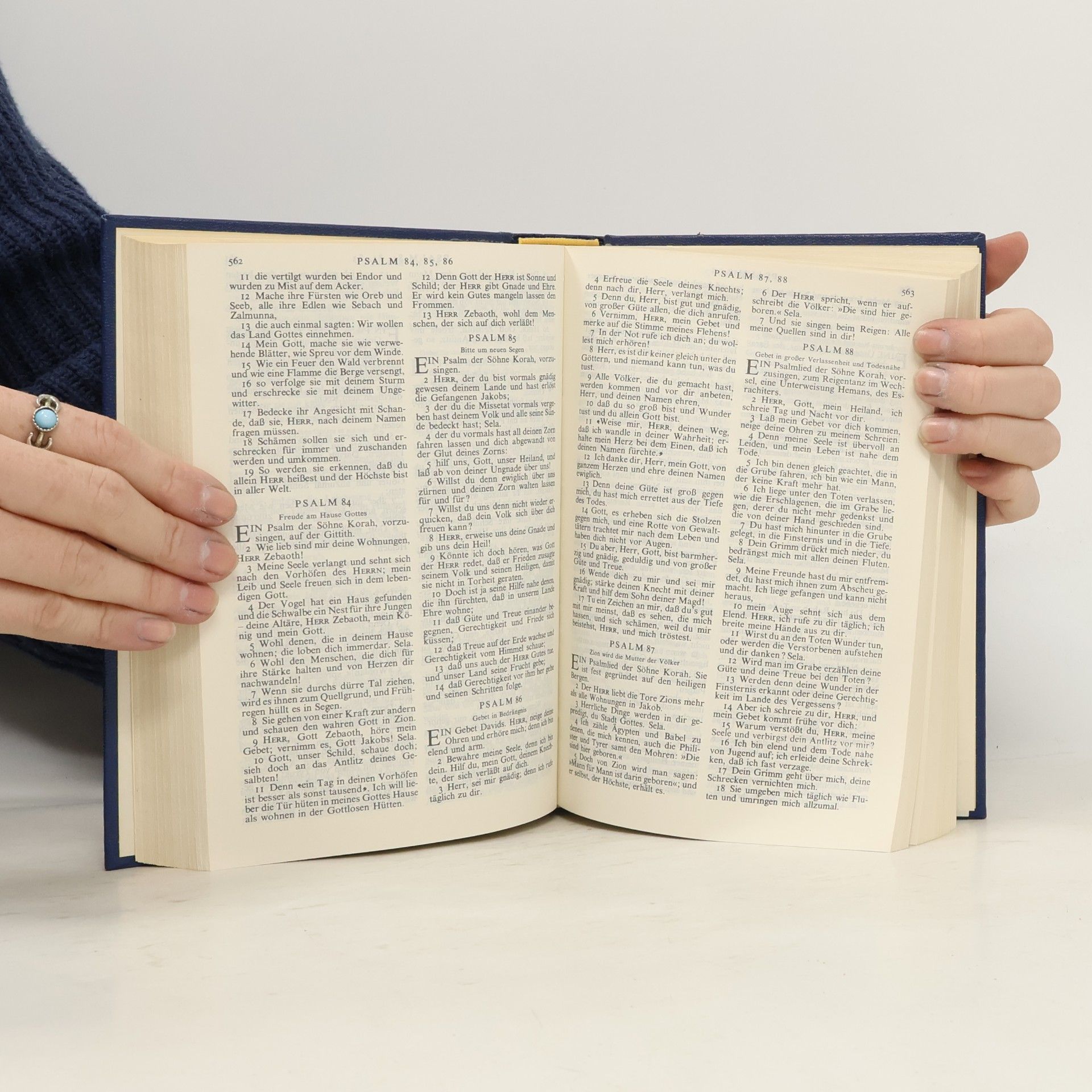 kolektiv Die Heilige Schrift