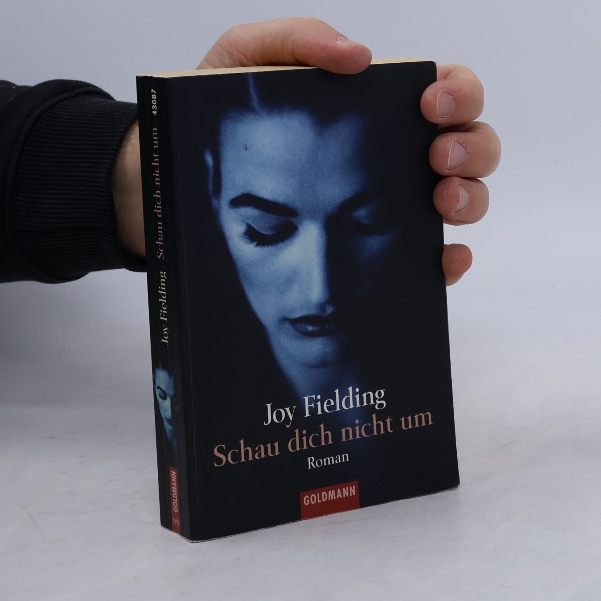 Joy Fielding Schau dich nicht um