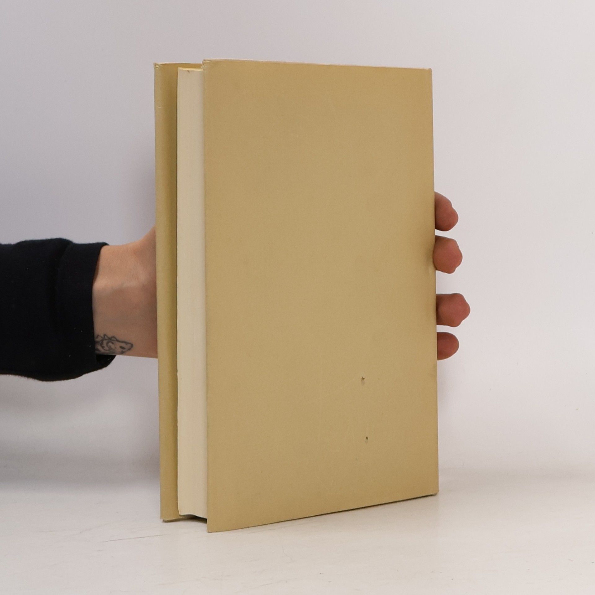 Thomas Mann Romane und Erzählungen 5
