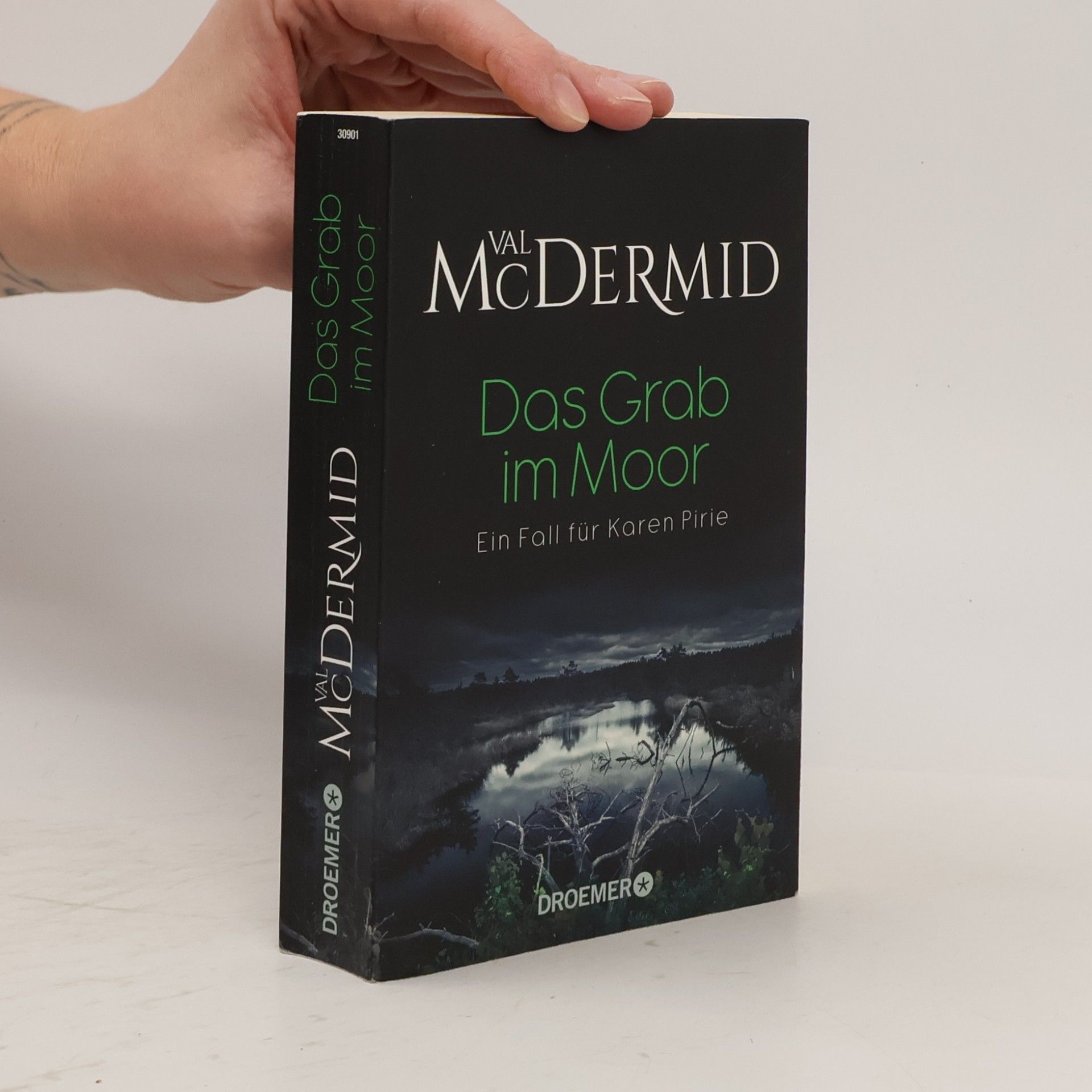 Das Grab im Moor