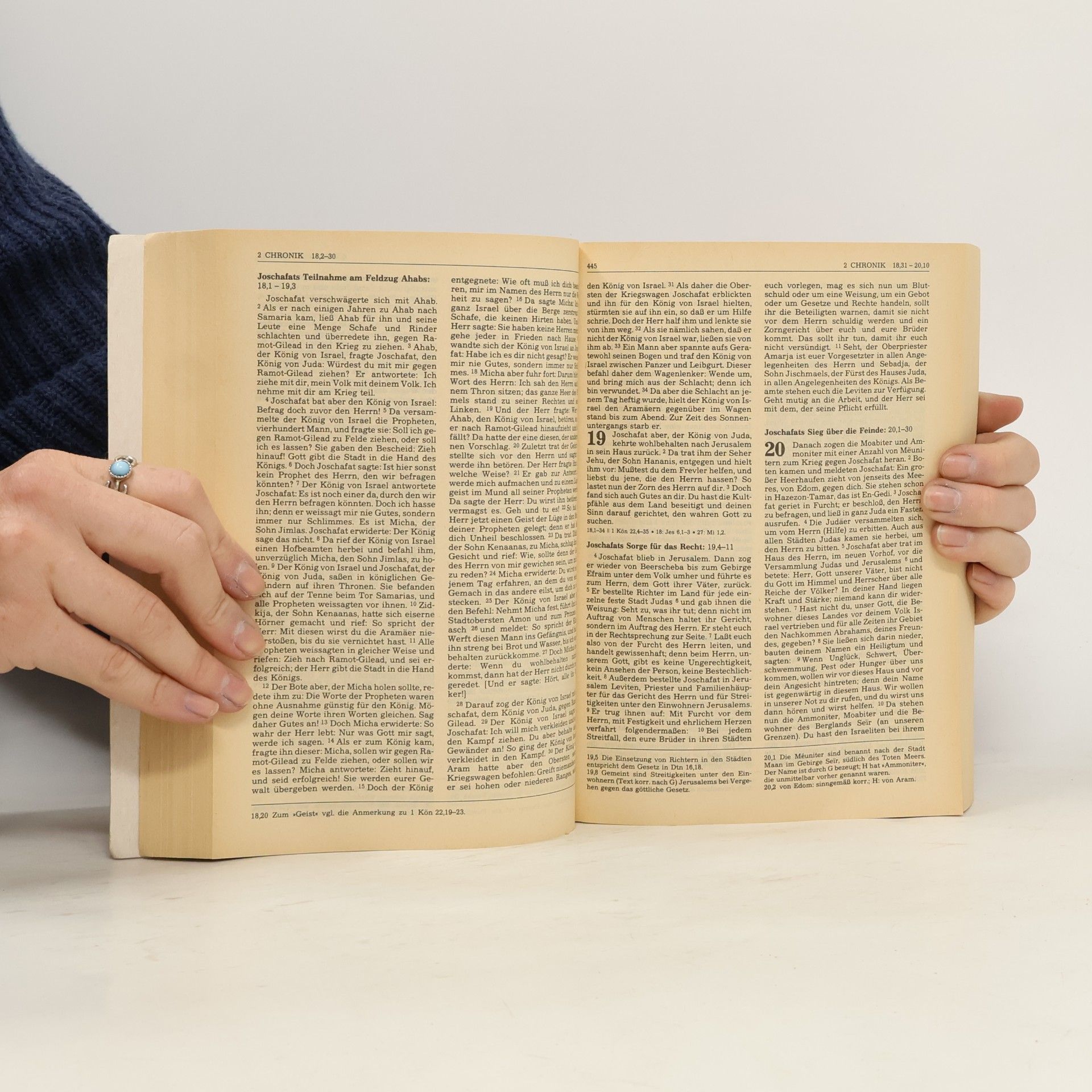 Kolektiv autorů Das alte testament