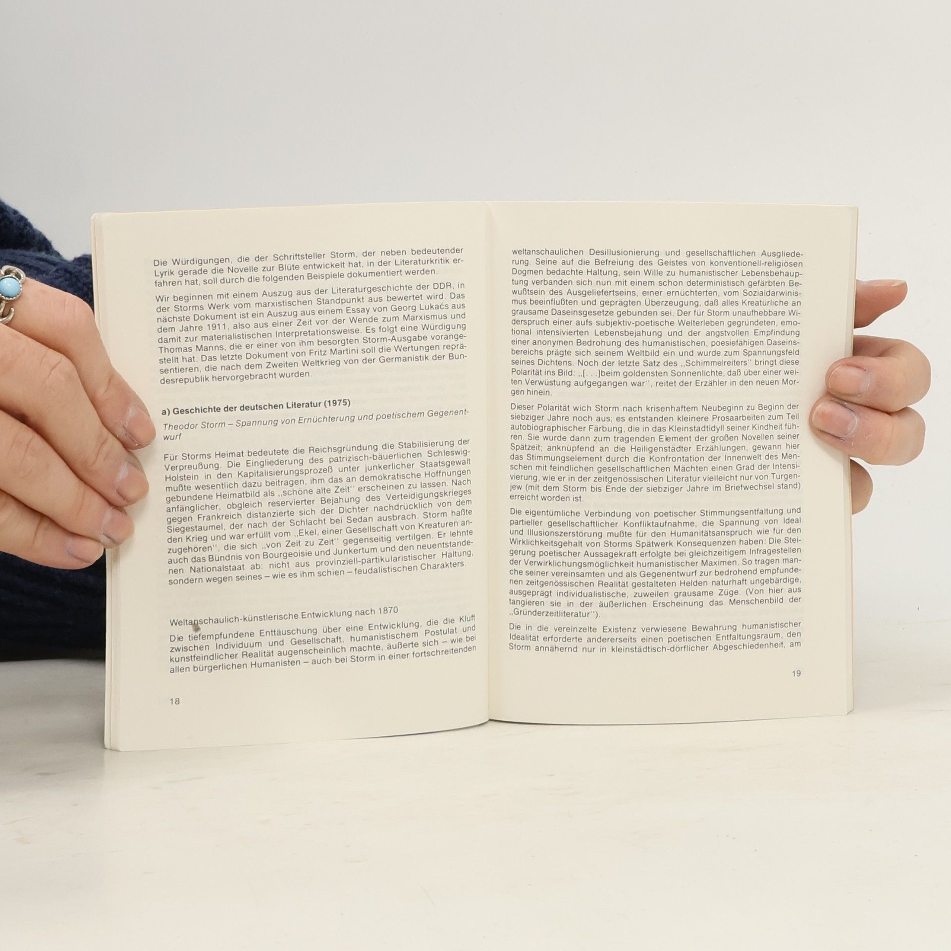 Theodor Storm Königs Erläuterungen und Materialien: Der Schimmelreiter
