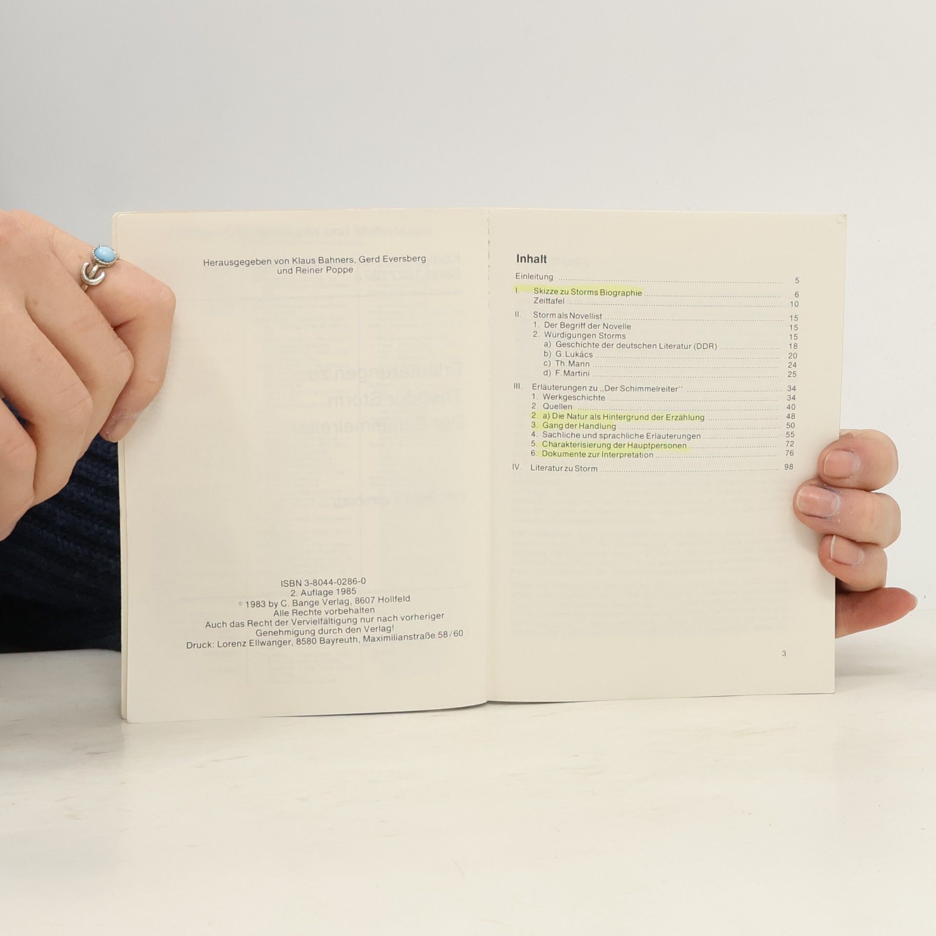 Theodor Storm Königs Erläuterungen und Materialien: Der Schimmelreiter
