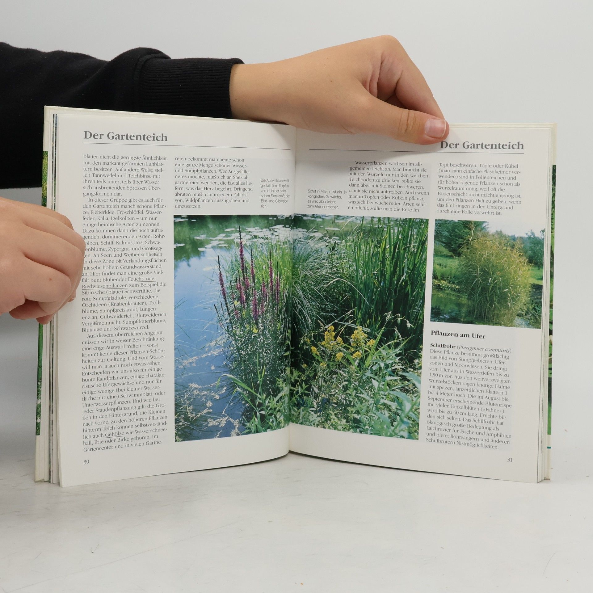 Michael Lohmann Der lebendige Wassergarten