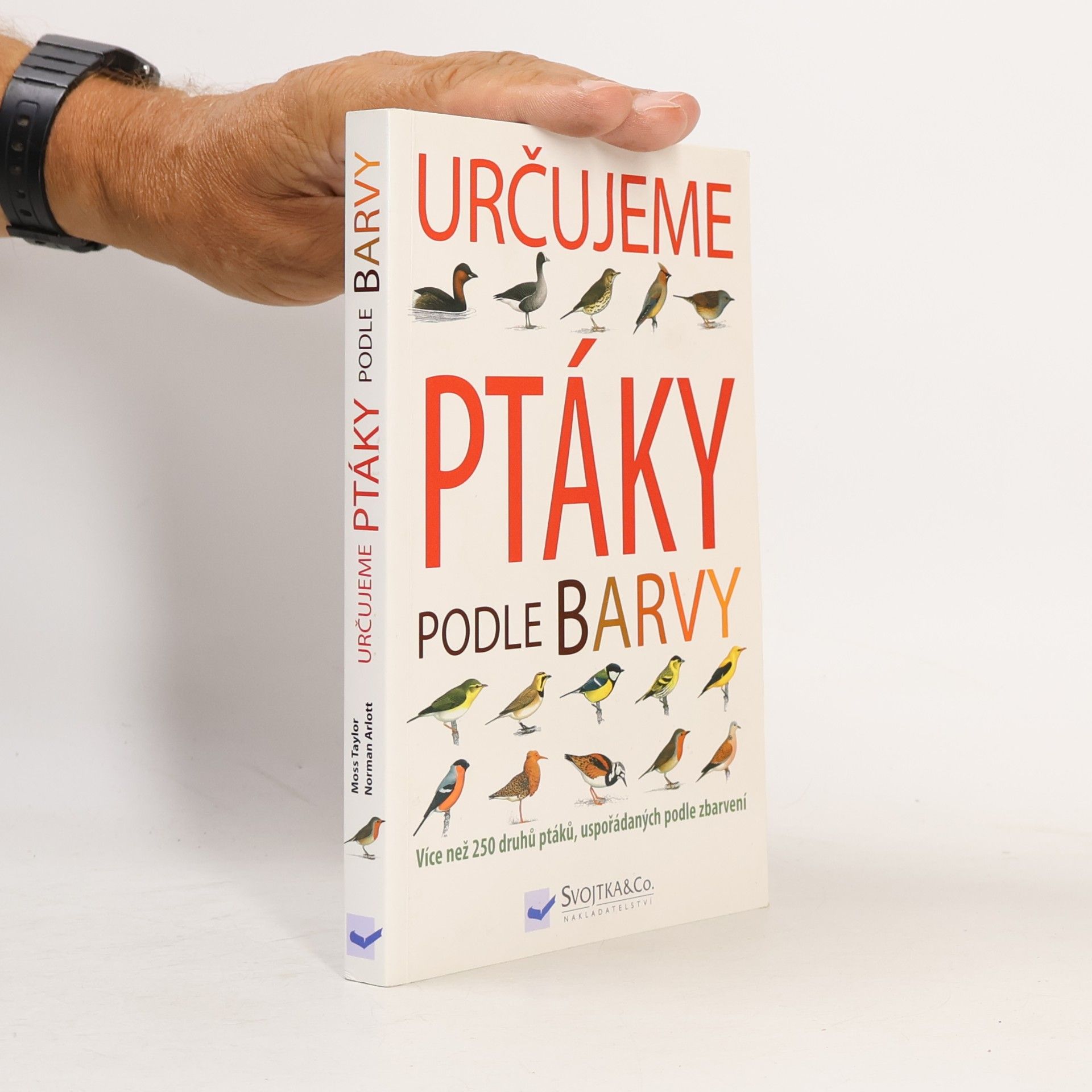 Určujeme ptáky podle barvy