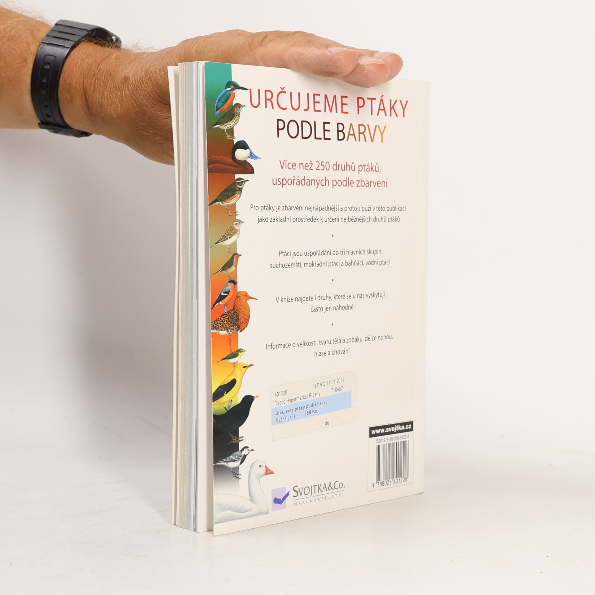 Moss Taylor Určujeme ptáky podle barvy