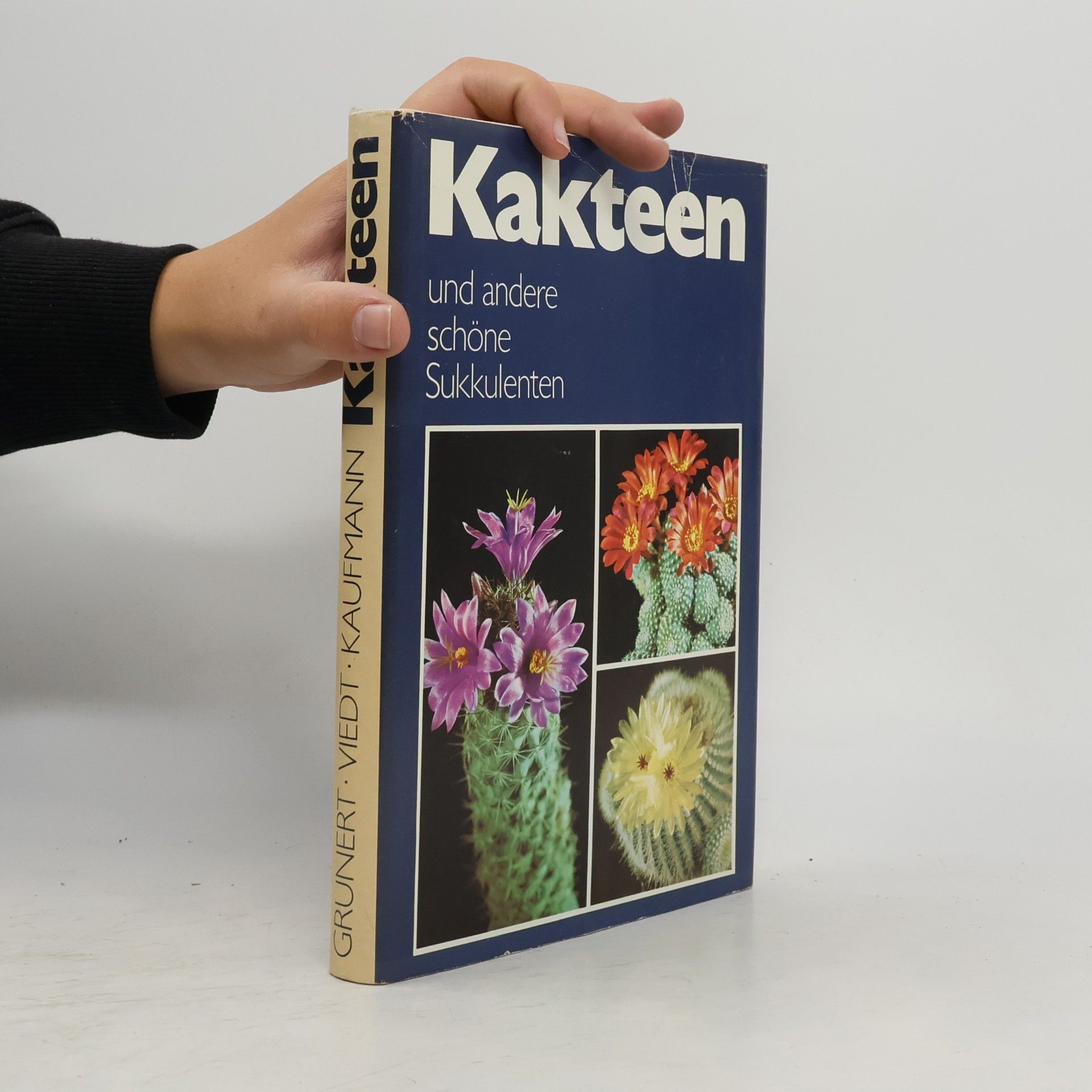 kolektiv Kakteen und andere schöne Sukkulenten