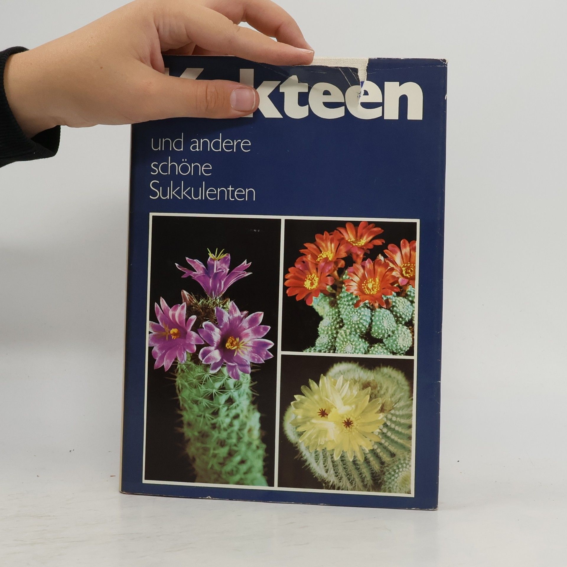 kolektiv Kakteen und andere schöne Sukkulenten
