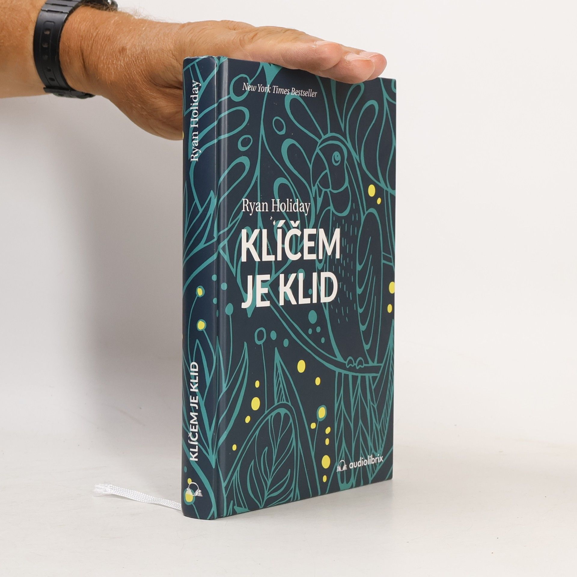 Ryan Holiday Klíčem je klid