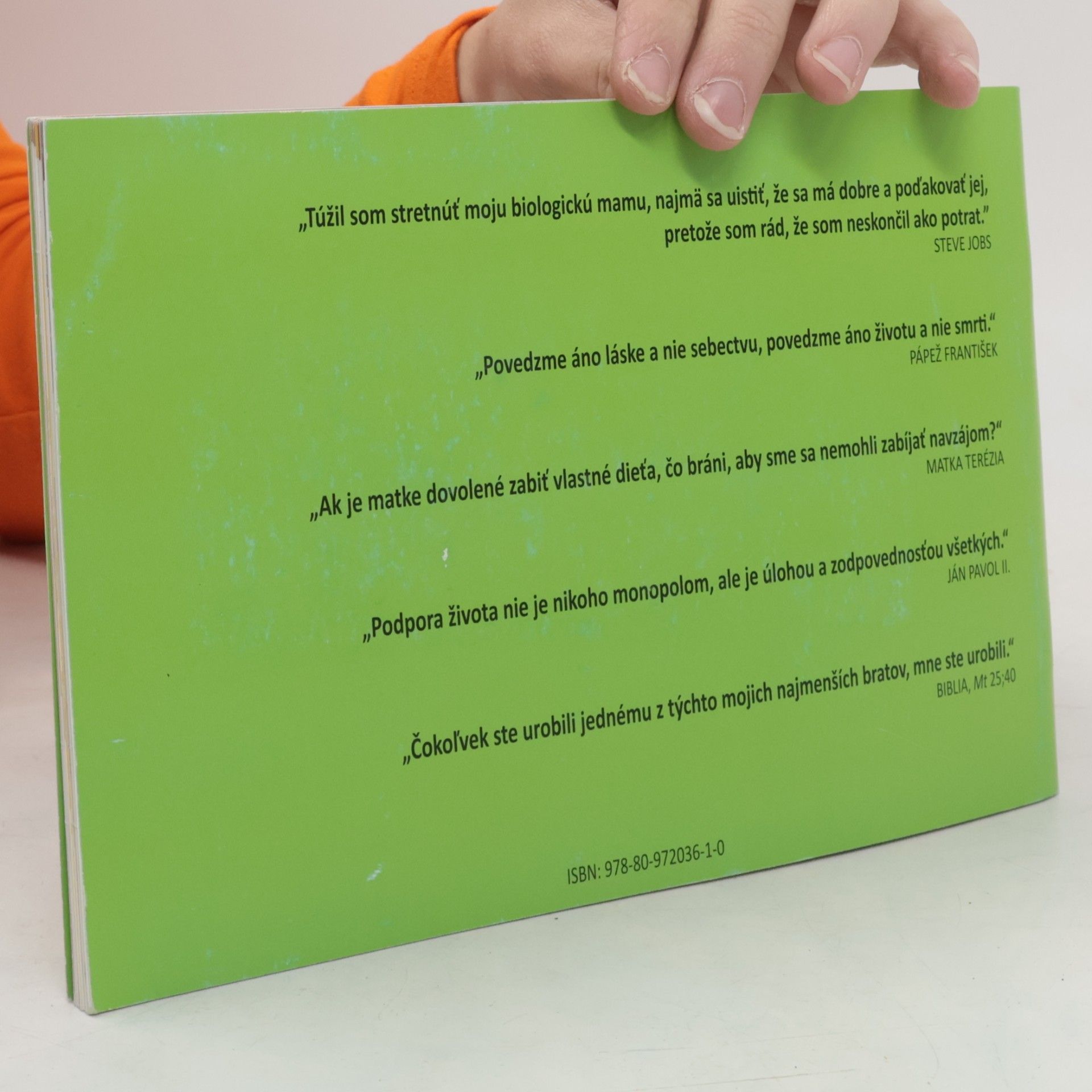Autorenkollektiv Manuál bioetiky pre mladých