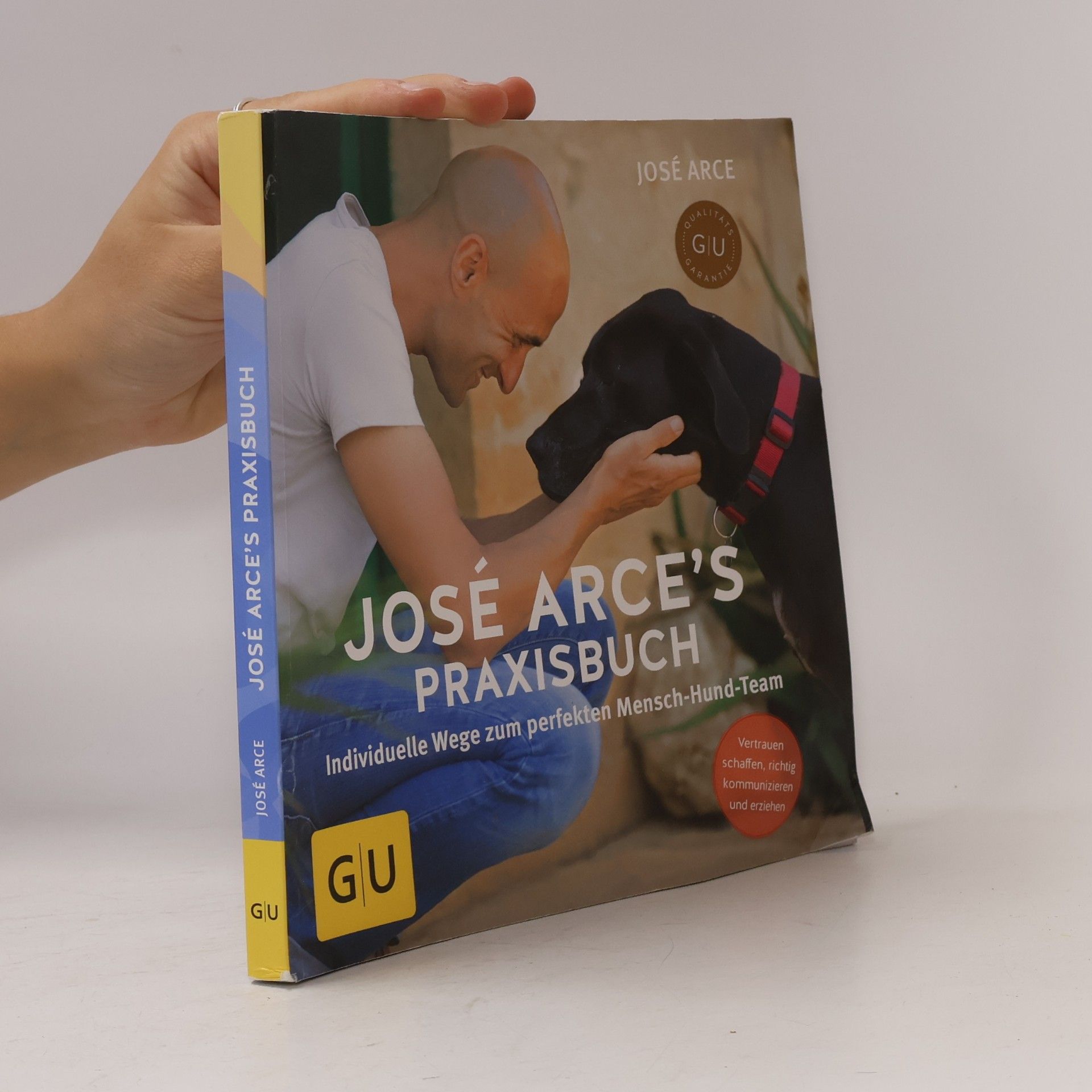 José Arce José Arce's Praxisbuch