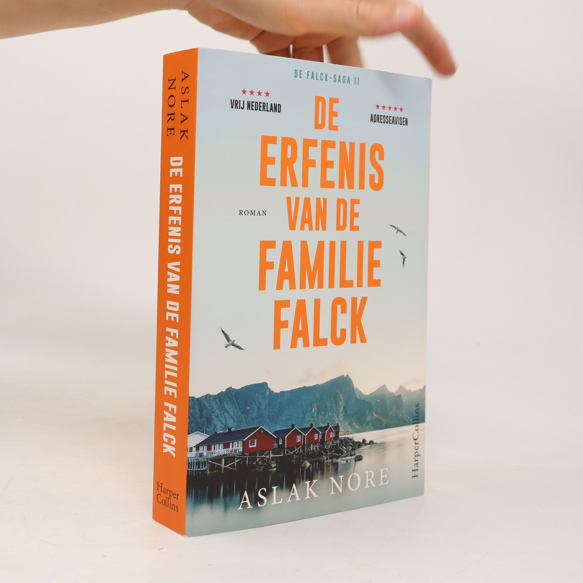 Aslak Nore De Falck-saga - 2: De erfenis van de familie Falck