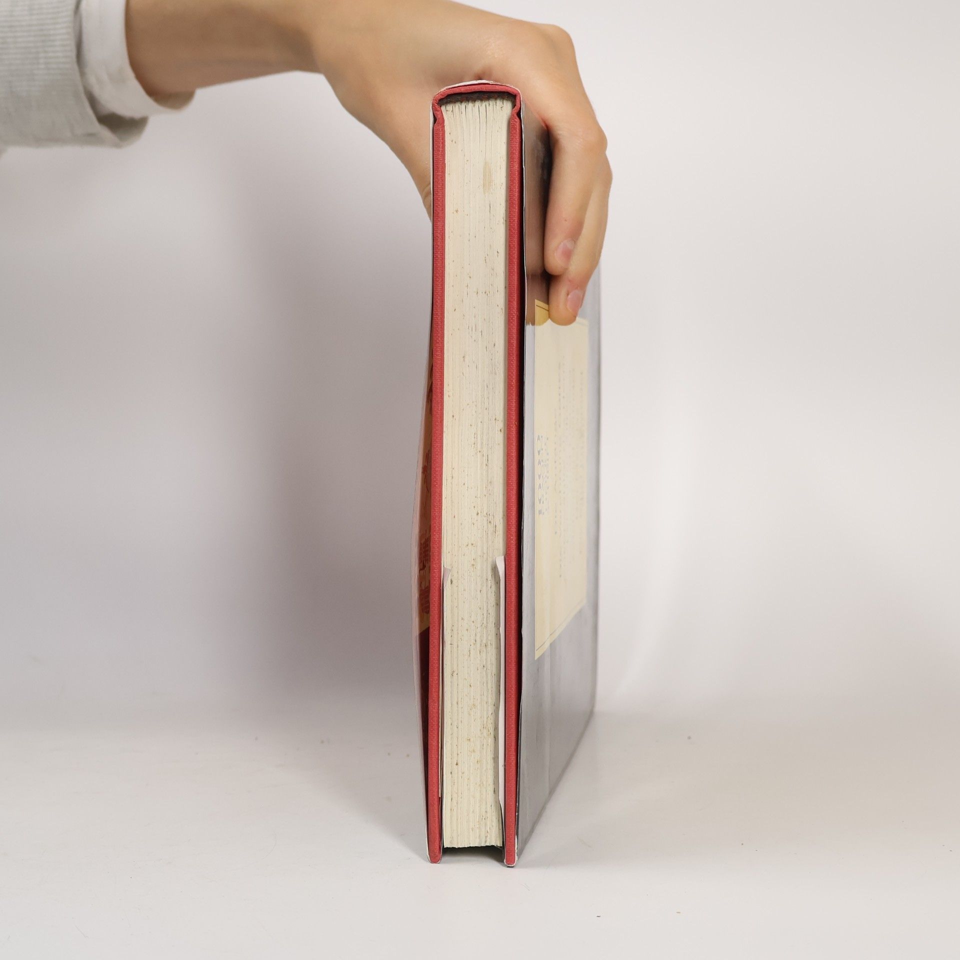 David Noel Freedman 1000 Fragen an die Heilige Schrift