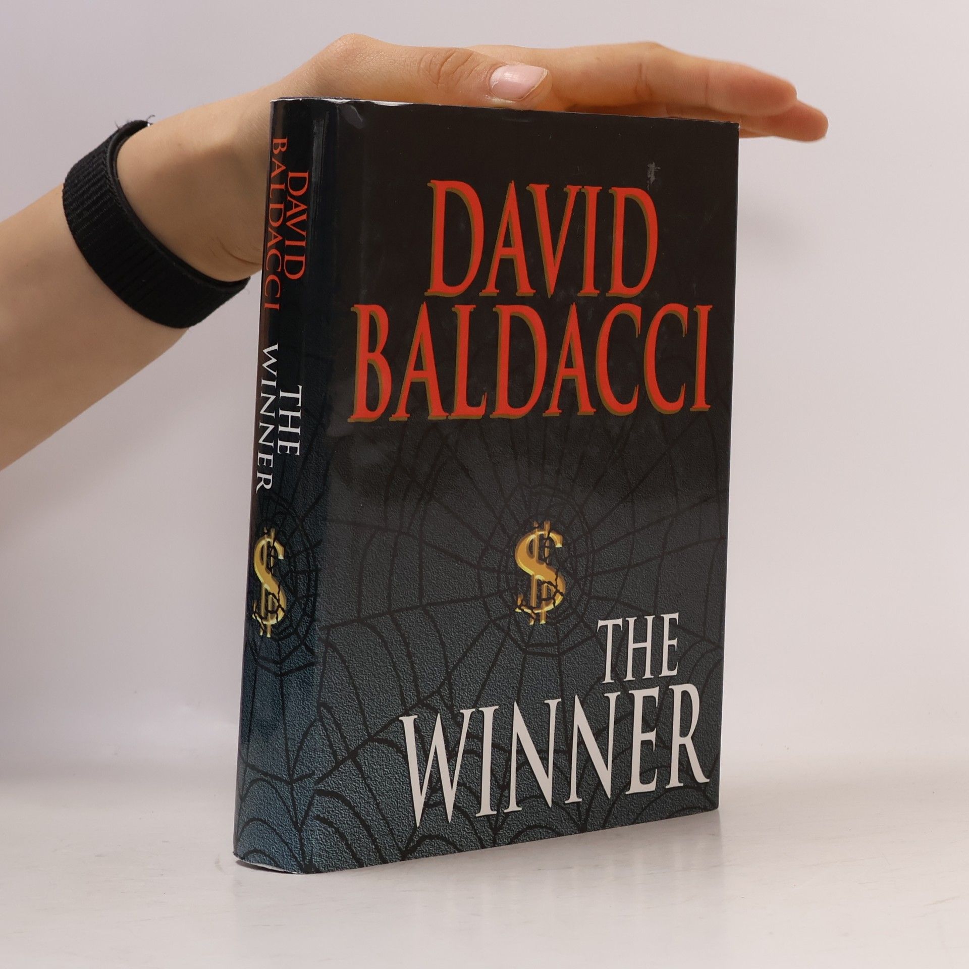David Baldacci The Winner