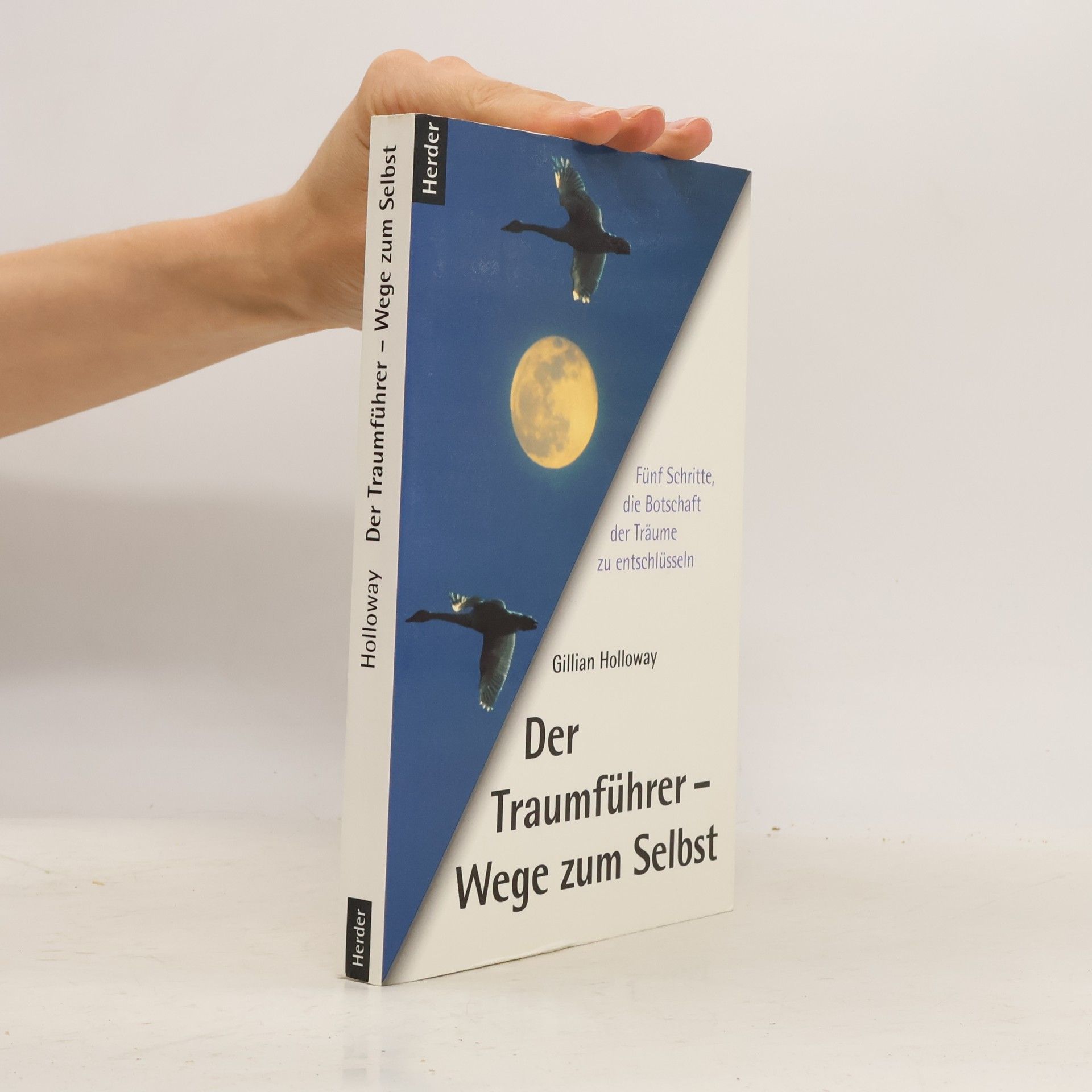 Gillian Holloway Der Traumführer - Wege zum Selbst