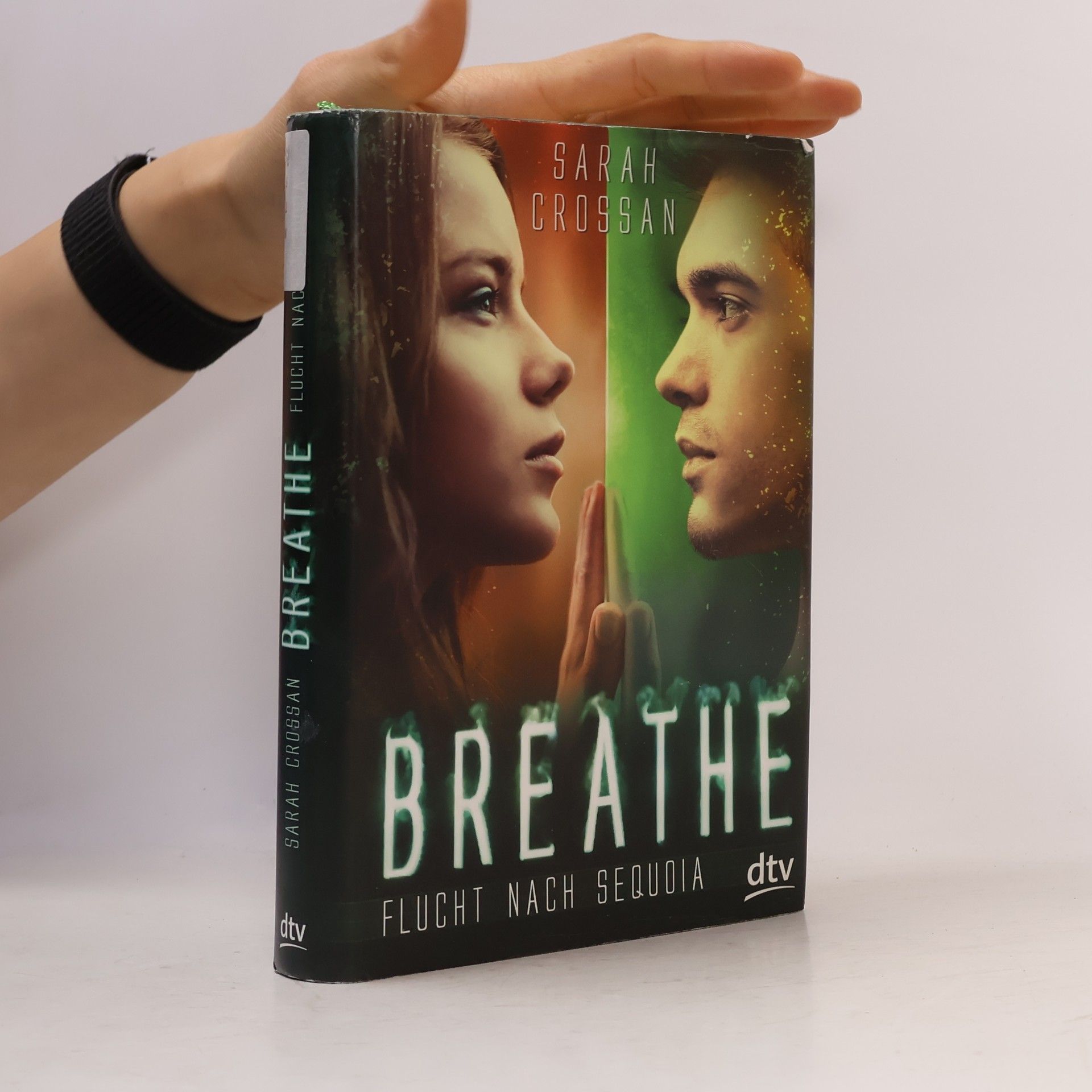 Sarah Crossan Breathe - Flucht nach Sequoia