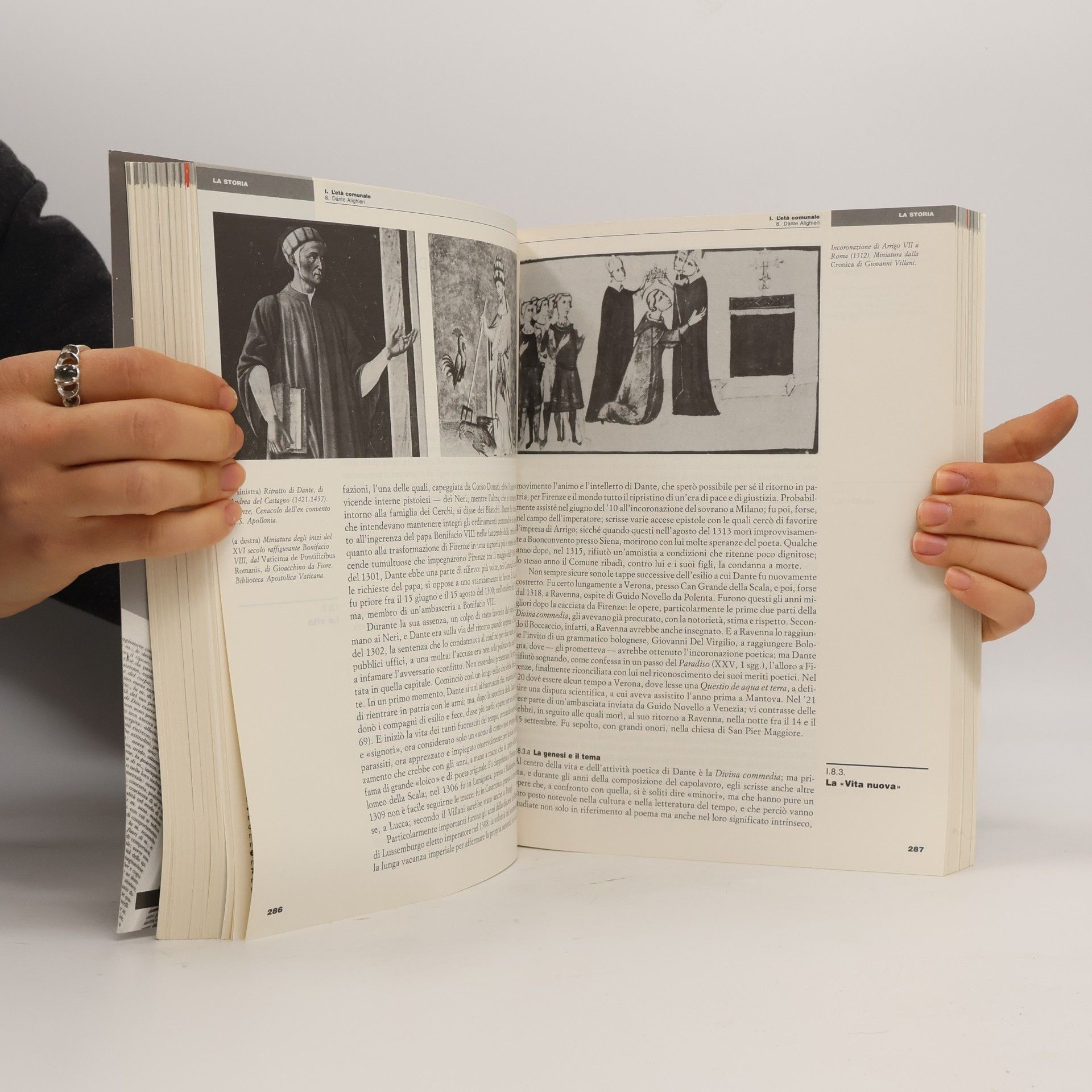 Giuseppe Petronio La produzione letteraria in Italia 1