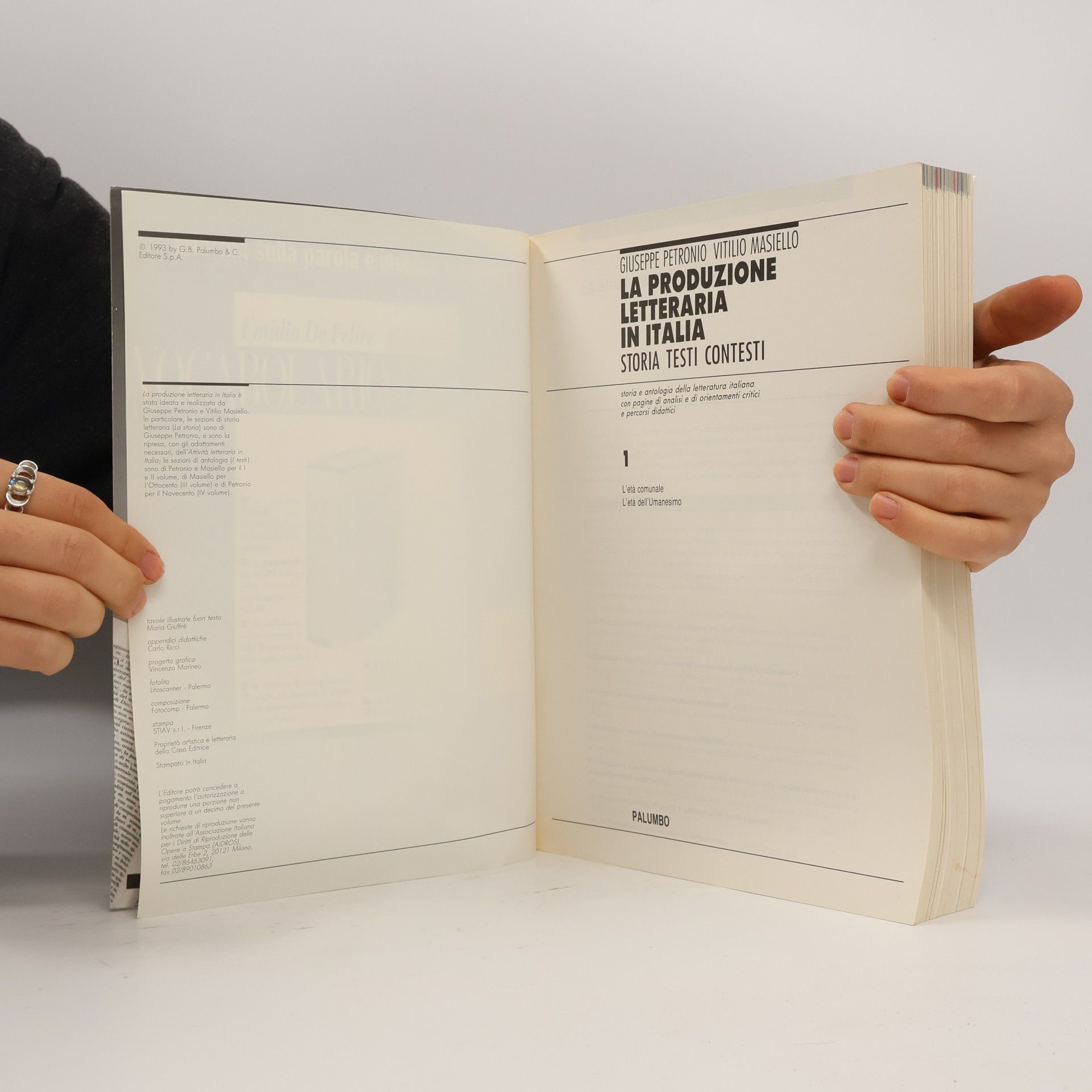 Giuseppe Petronio La produzione letteraria in Italia 1