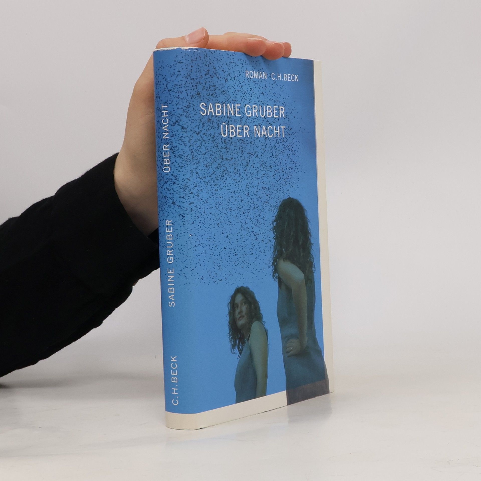 Sabine Gruber Über Nacht