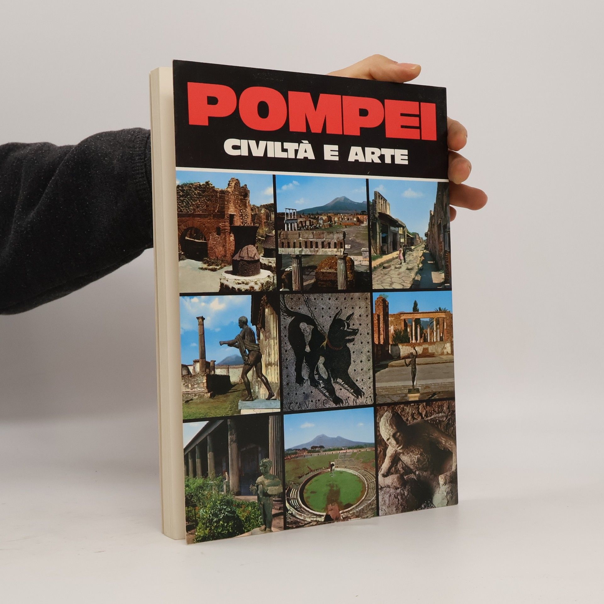 A. De Franciscis Pompei. Civiltà e arte