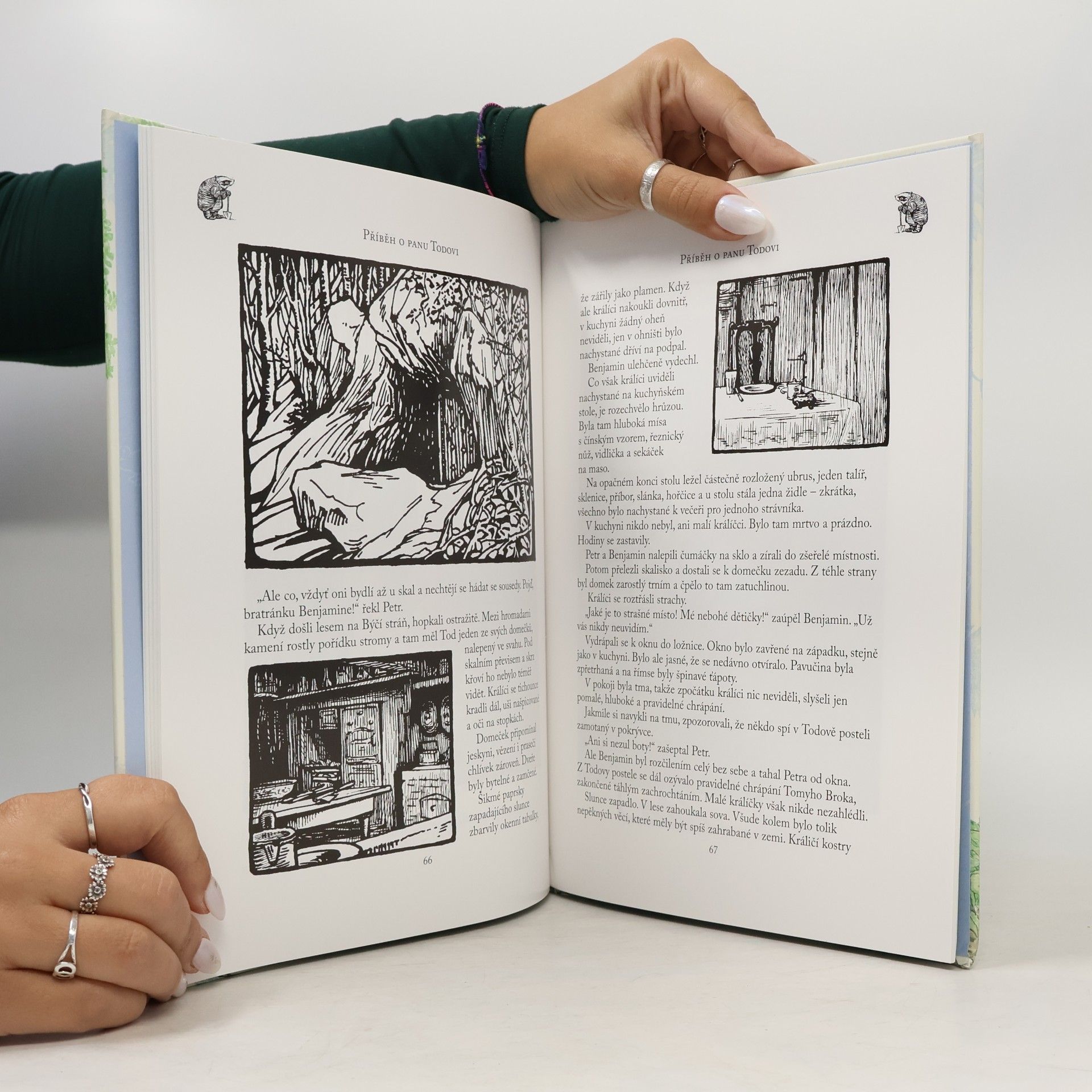 Beatrix Potter Dobrodružství králíčka Petra
