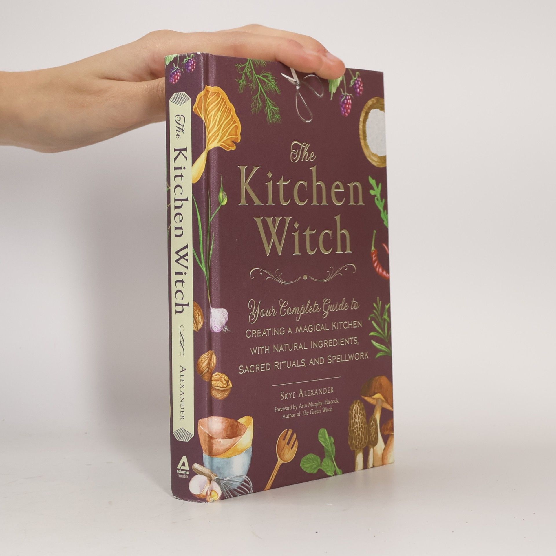 Skye Alexander The Kitchen Witch