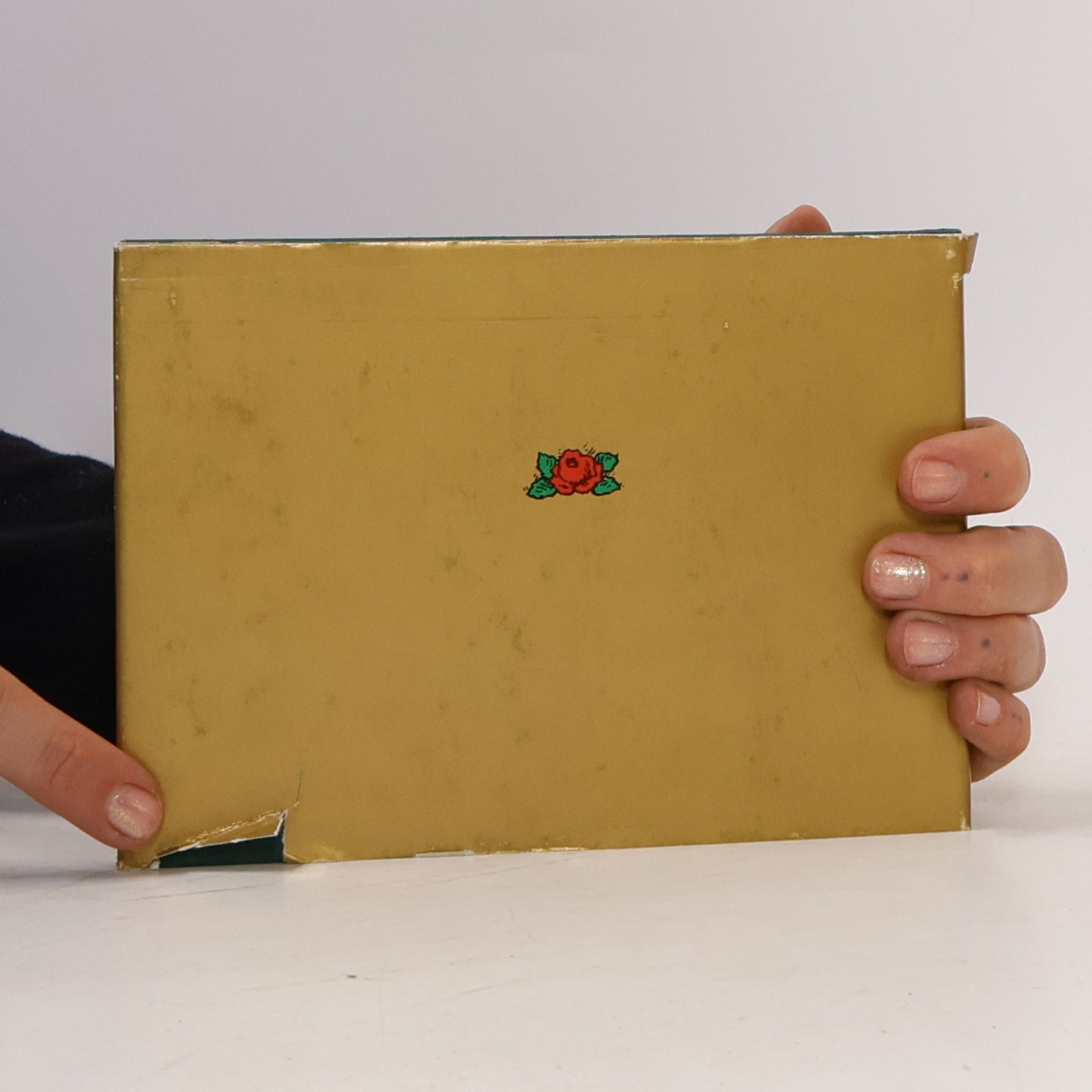 Martin Luther Ein Postkartenalbum 1483-1546