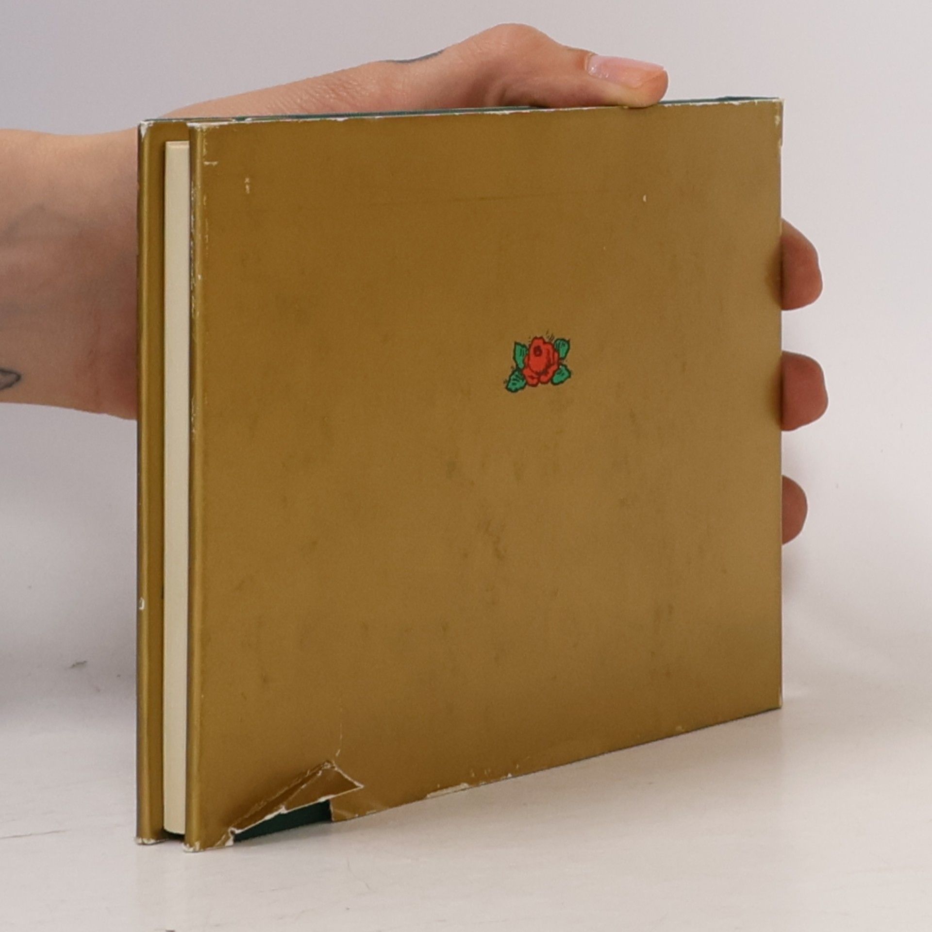Martin Luther Ein Postkartenalbum 1483-1546