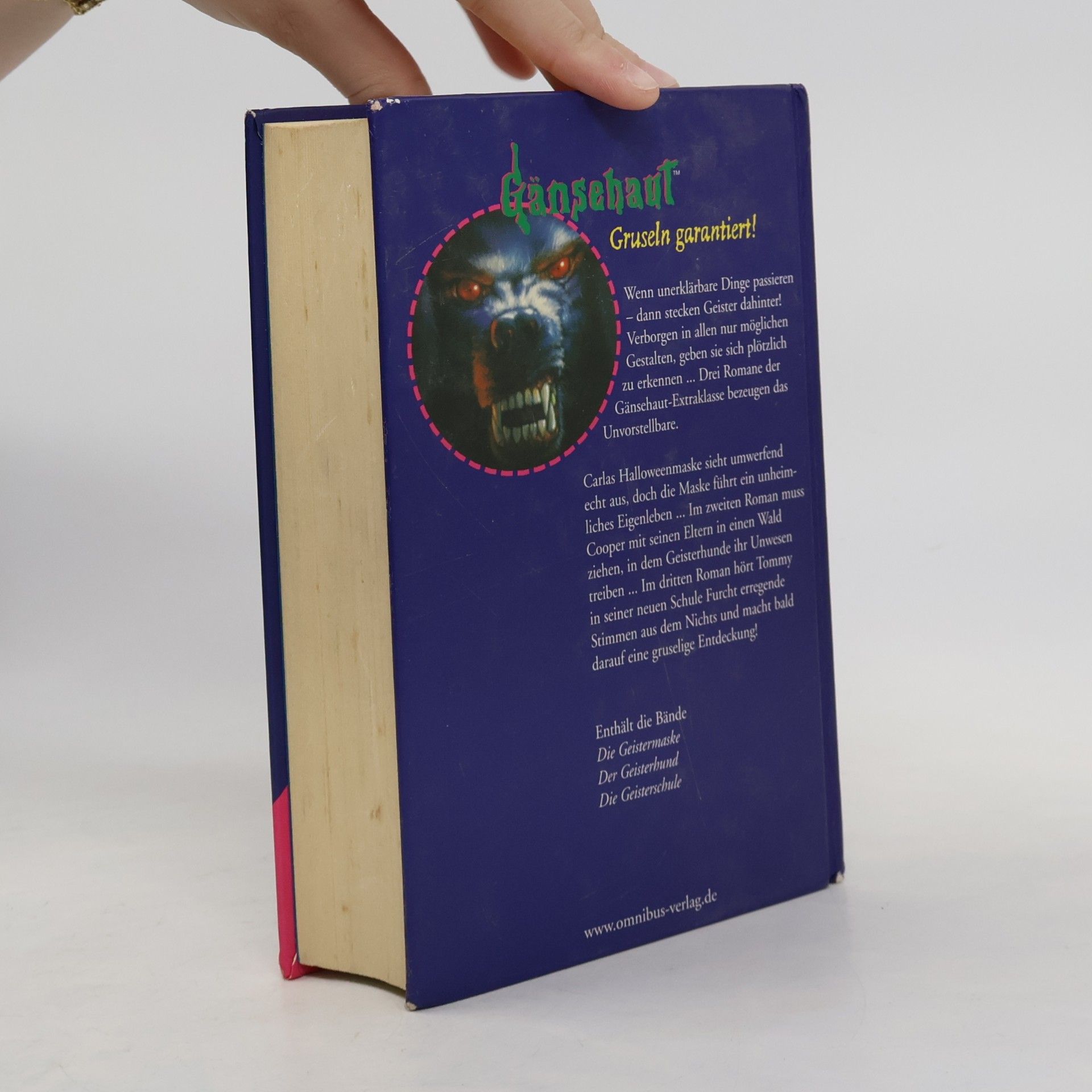 R. L. Stine Gänsehaut - Geister sind unter uns